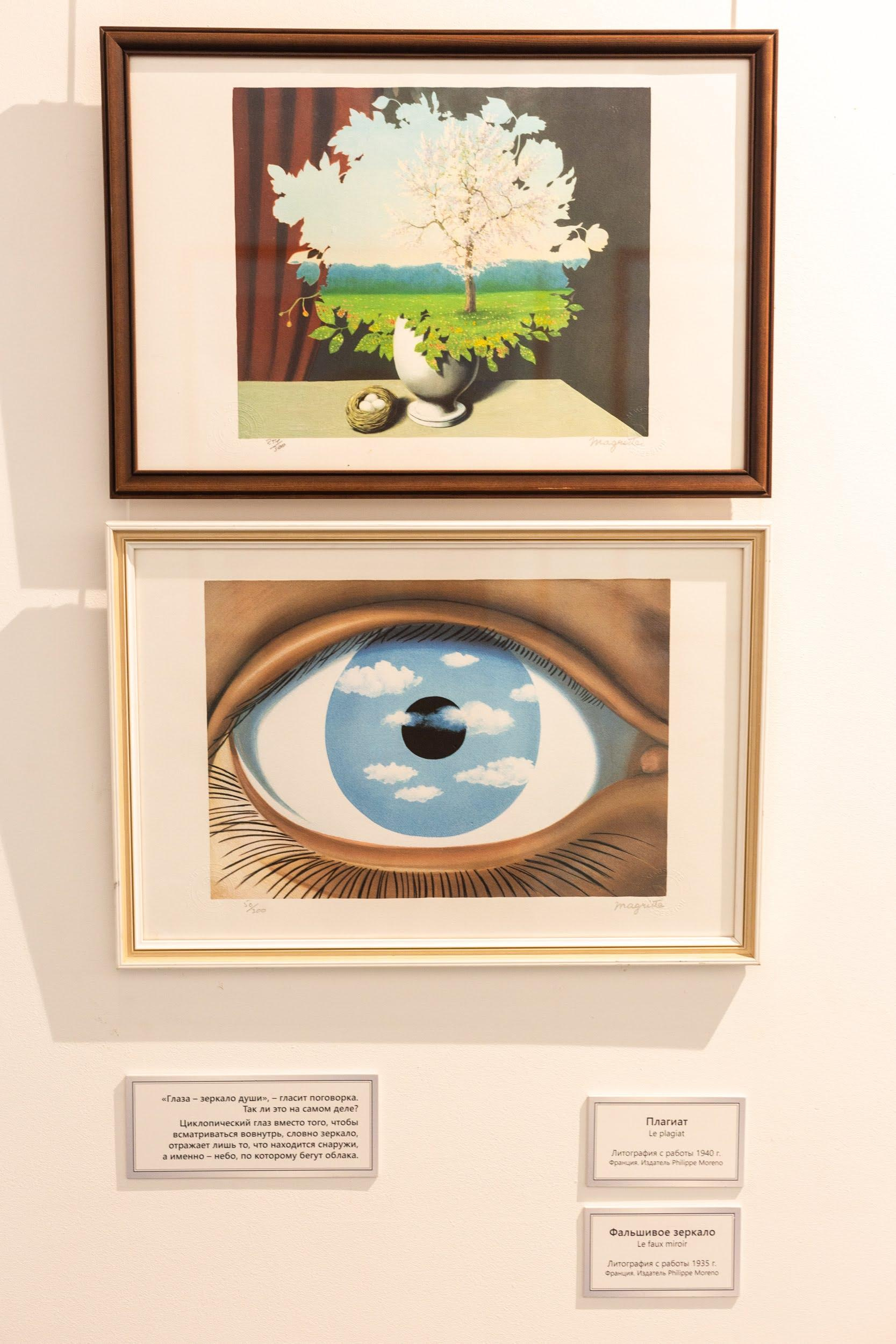 Wystawy. Strona główna