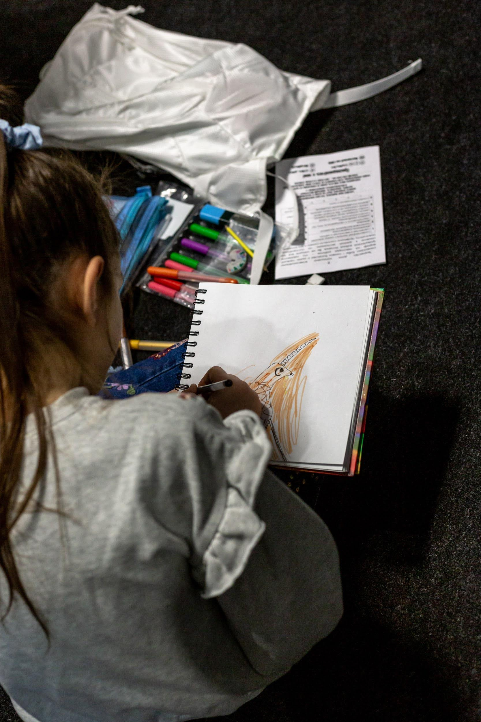 Wystawy. Strona główna