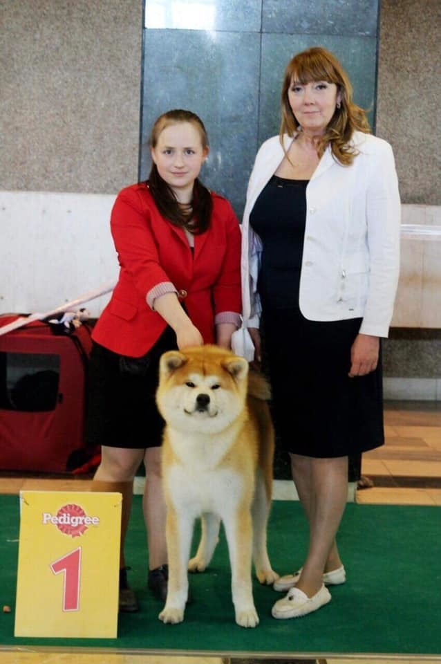 GRADUATES OF THE KENNEL. SHIOMARU Shiba and Akita Inu Kennel