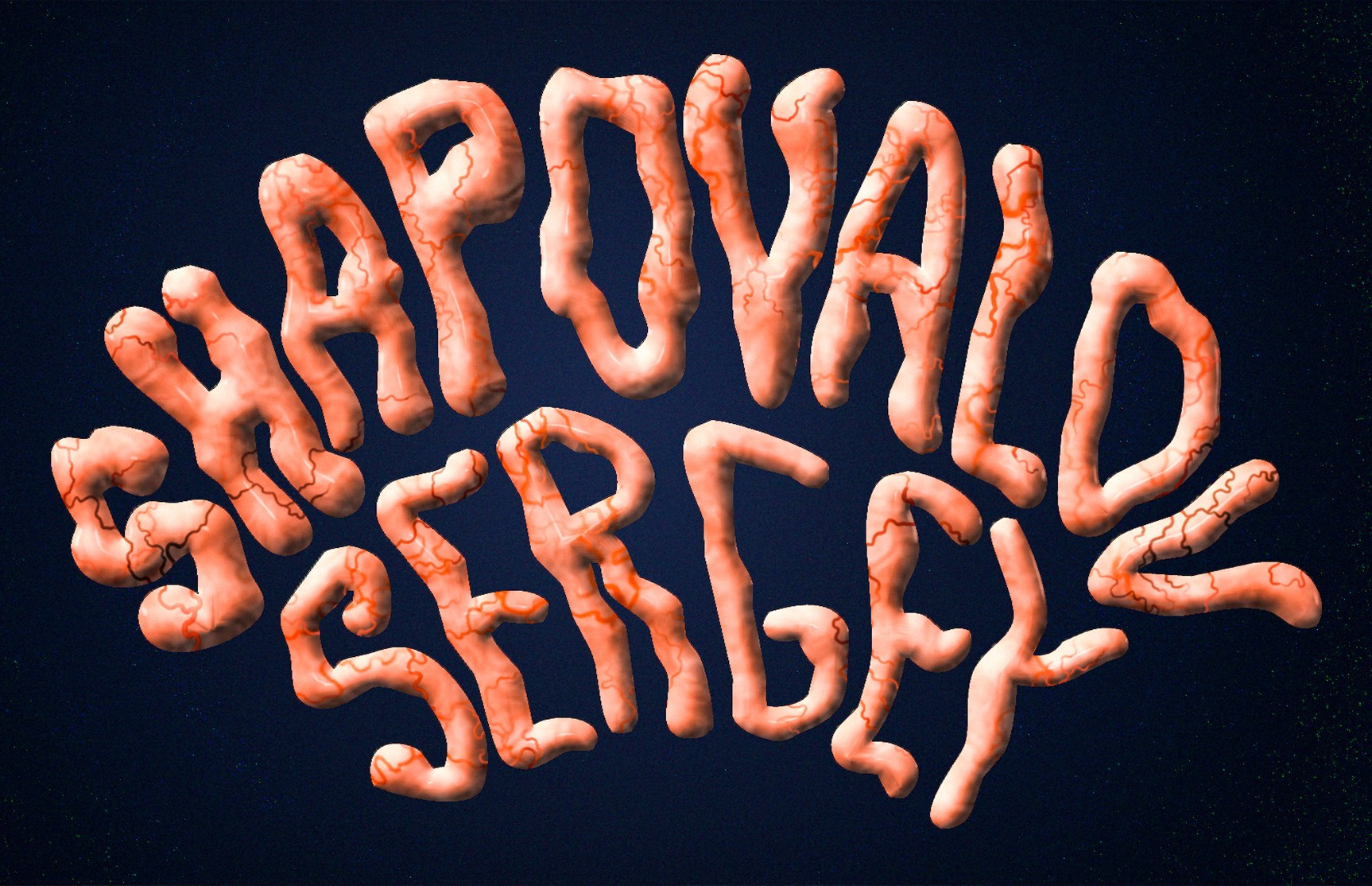 Sergey Shapovalov, фотограф, видеограф, графический дизайнер, монтажер