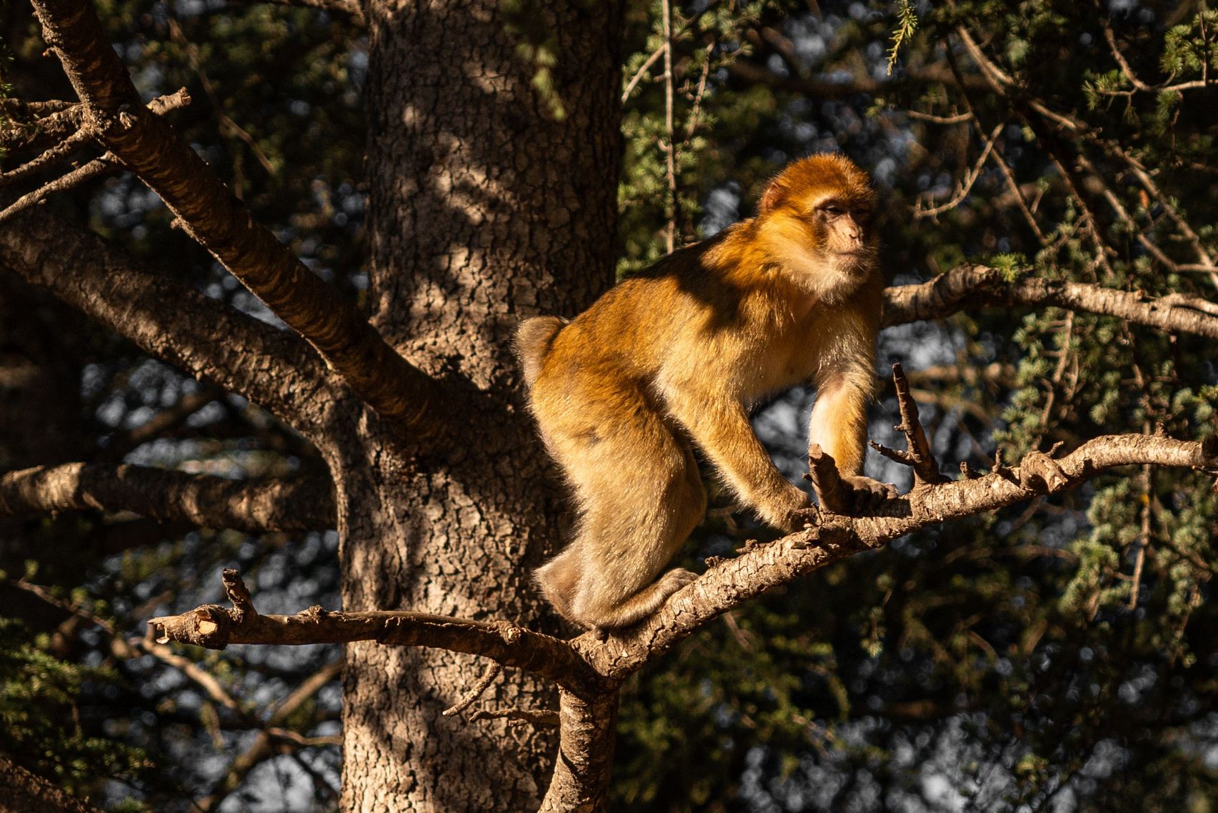 Марокко. Илья Варин — Фотограф Москва, Тверь