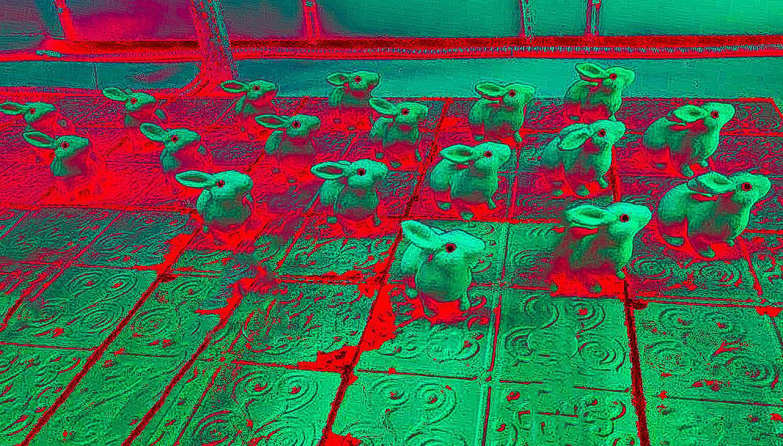 фото проект, фотограф, фотография, обложка для книги, обложка, цвет, цветная фотография, исследование цвета, современное искусство, искусство фотографии, художественная фотография, сюрреализм, art, artist, photo, photographer, photo project, art photography, cover, visual art, picture, color, surrealism