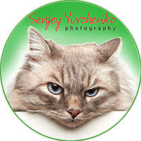 Контакты. Фотограф Сергей Юрченко