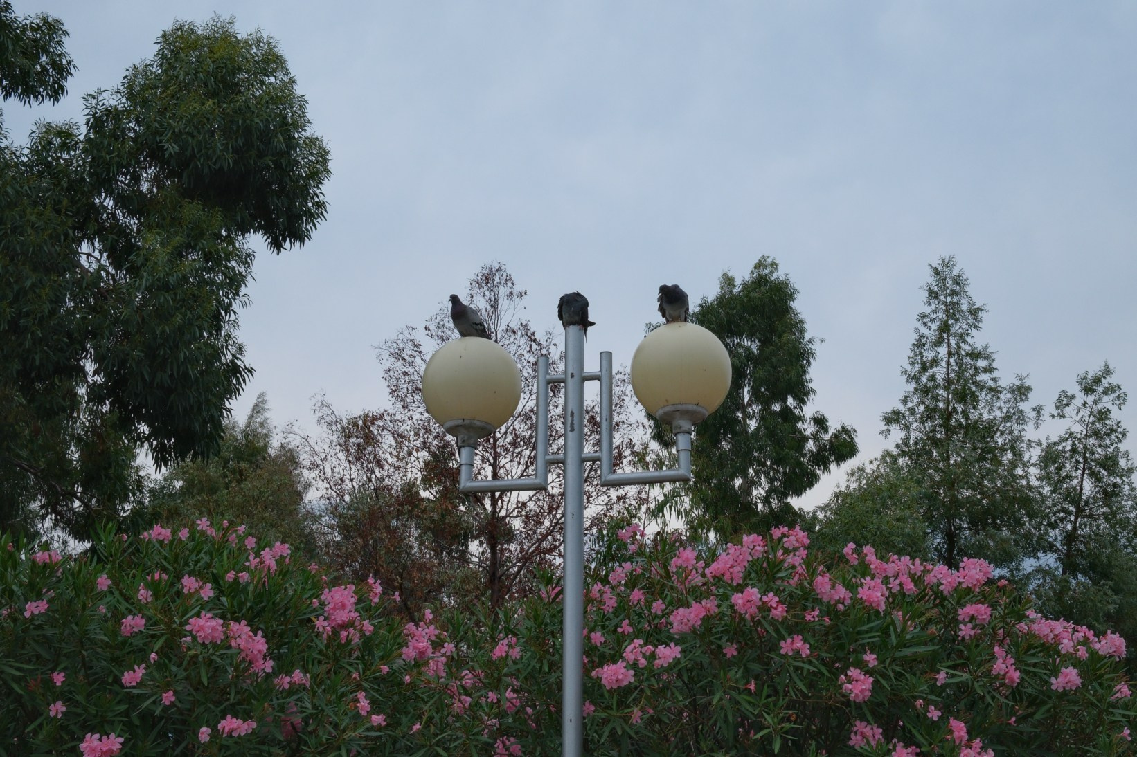 Спорт, пляж и некрасивые люди. Belugin Art