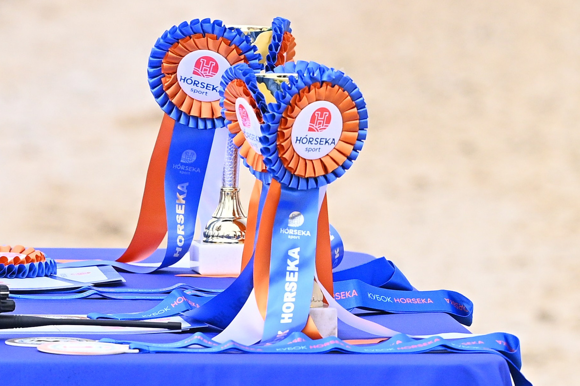 КСК Horseka, Чемпионат Росии+Молодые+Клубные, 30 июля — 3 августа,. ТУРНИРНАЯ КОННАЯ ФОТОГРАФИЯ, Руднева Ольга и Евгений Адеев