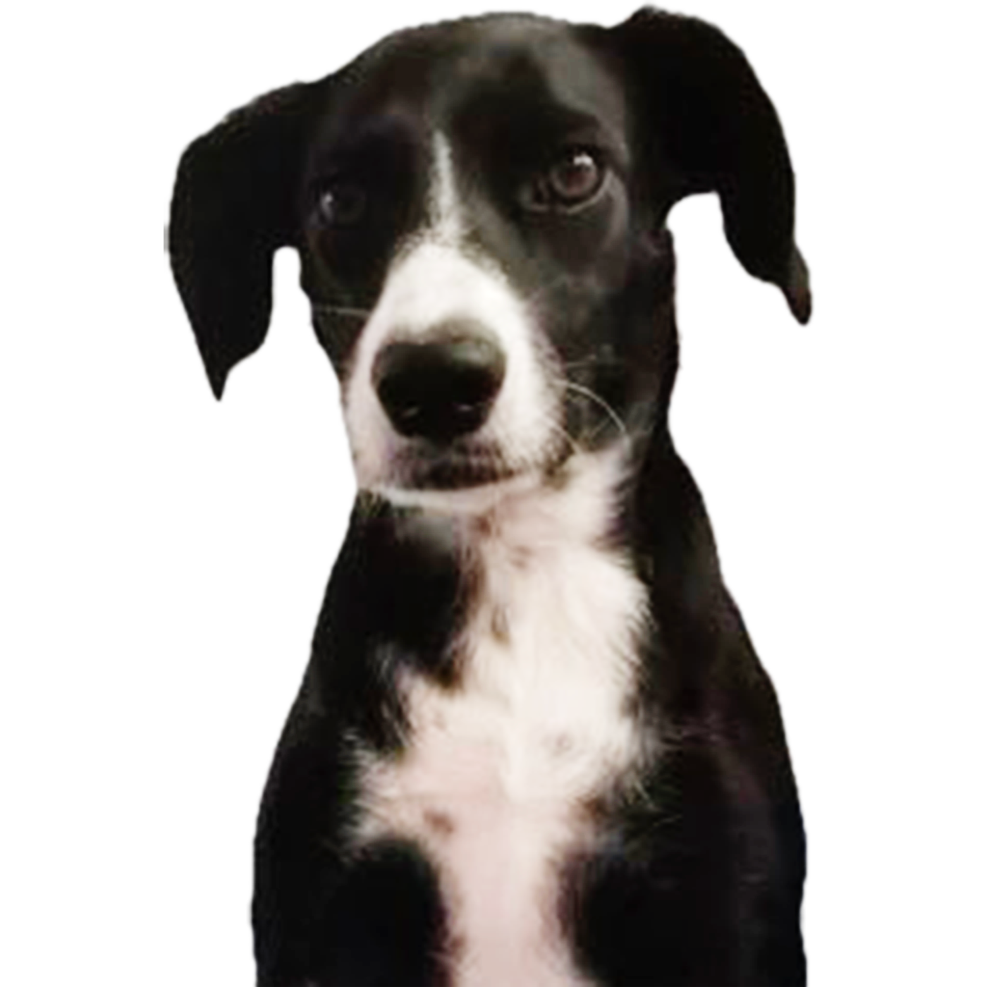 Контакты. Marina Doctorova