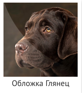 FLEX, техн. Фотограф Ольга Молева