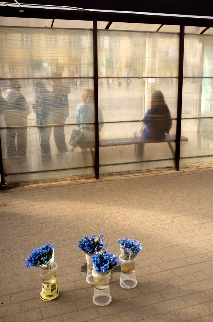 Зима (2025). Руслан Шувалов (поэтограф)