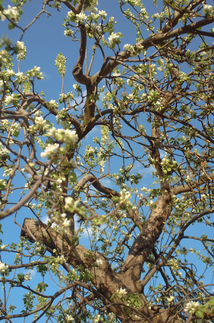 Зима (2025). Руслан Шувалов (поэтограф)