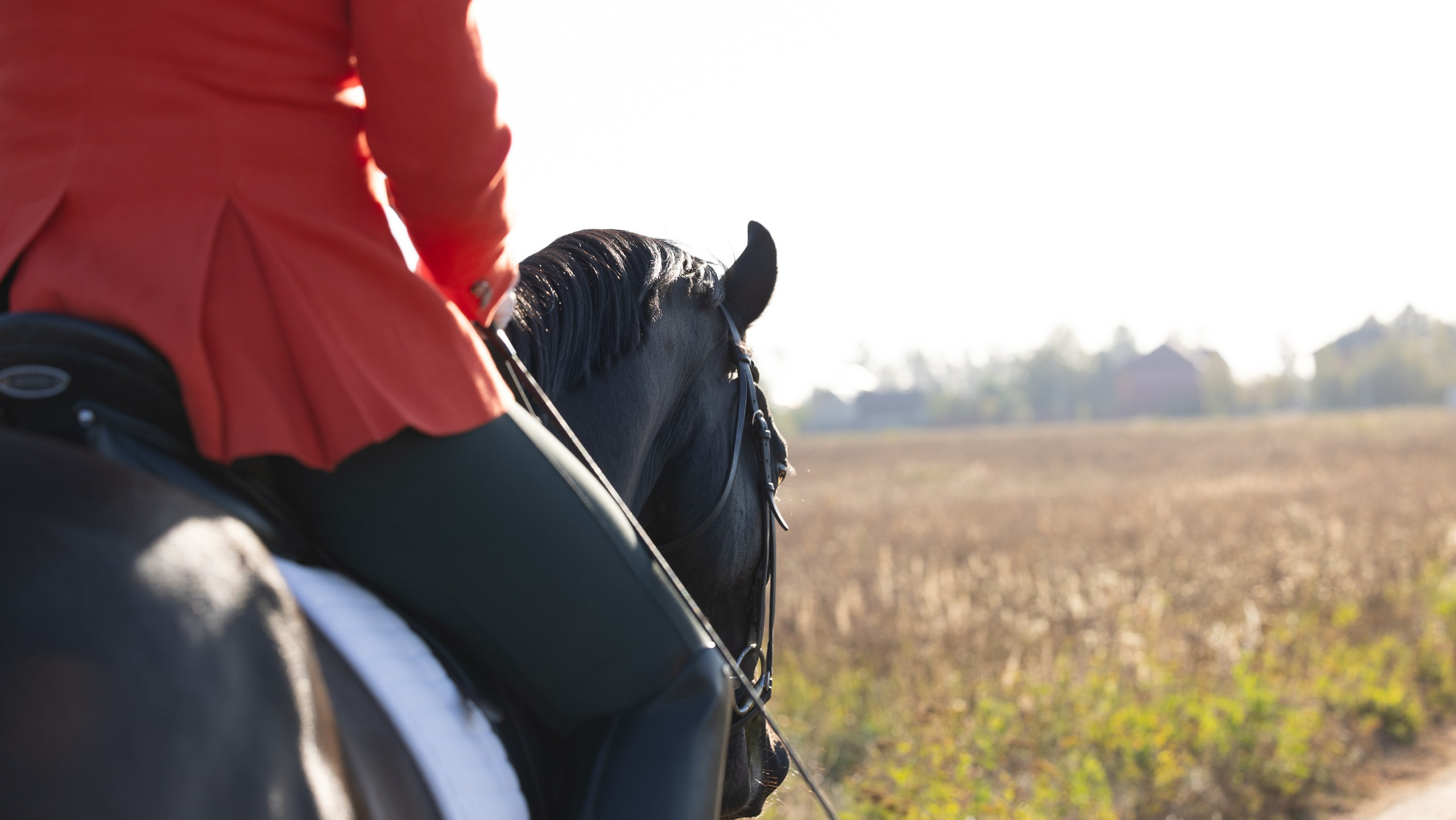 Seminar 13 September Designing a Training Plan. Liana Antanovich | Equestrian Strategies