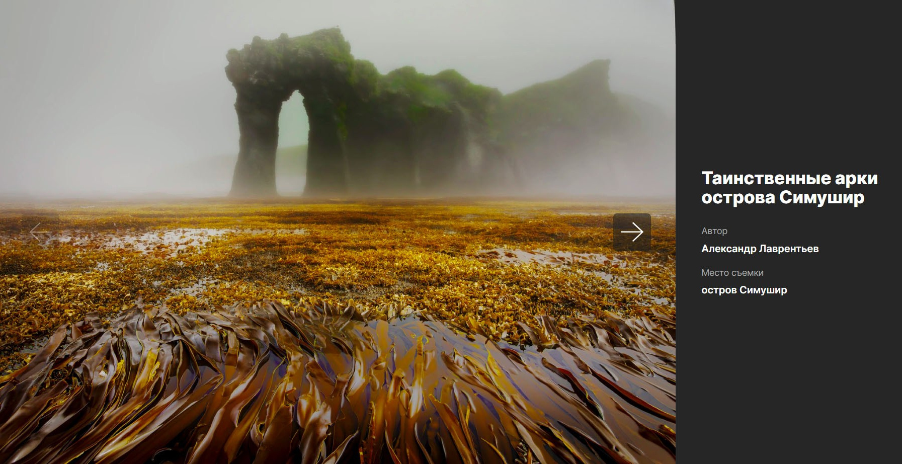 Победы наших участников в фотоконкурсах