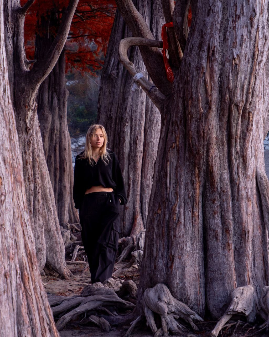 Услуги. Фотограф Александр Головин