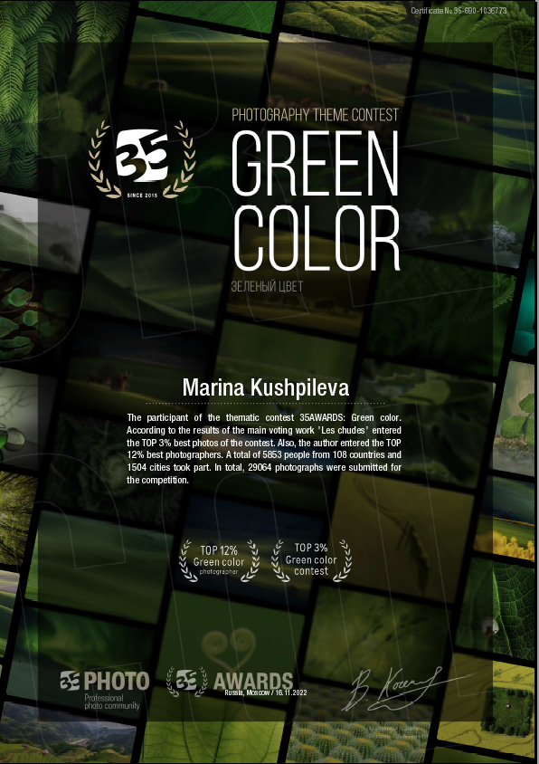 Мои фотодостижения. Фотограф Марина Кушпилева. Омск, Москва