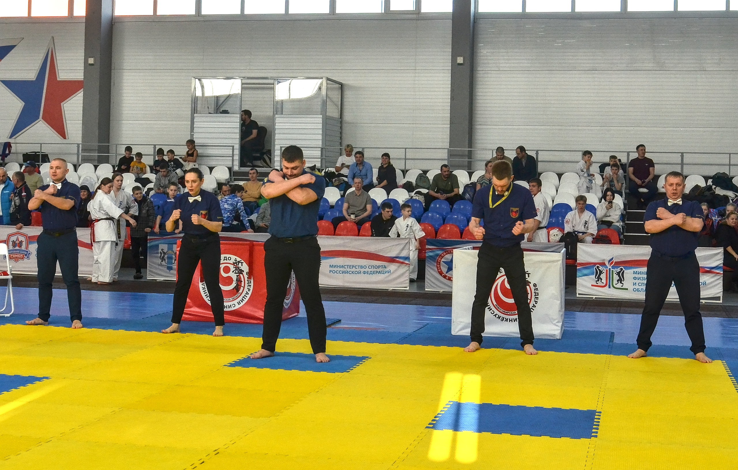 Киокусинкай история. Фотограф анималист, пейзажист, спортивные мероприятия. Новосибирск