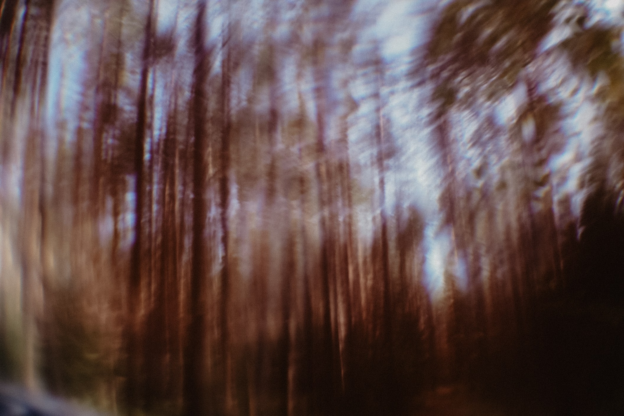 ART BEYOND REASON. International visual artist