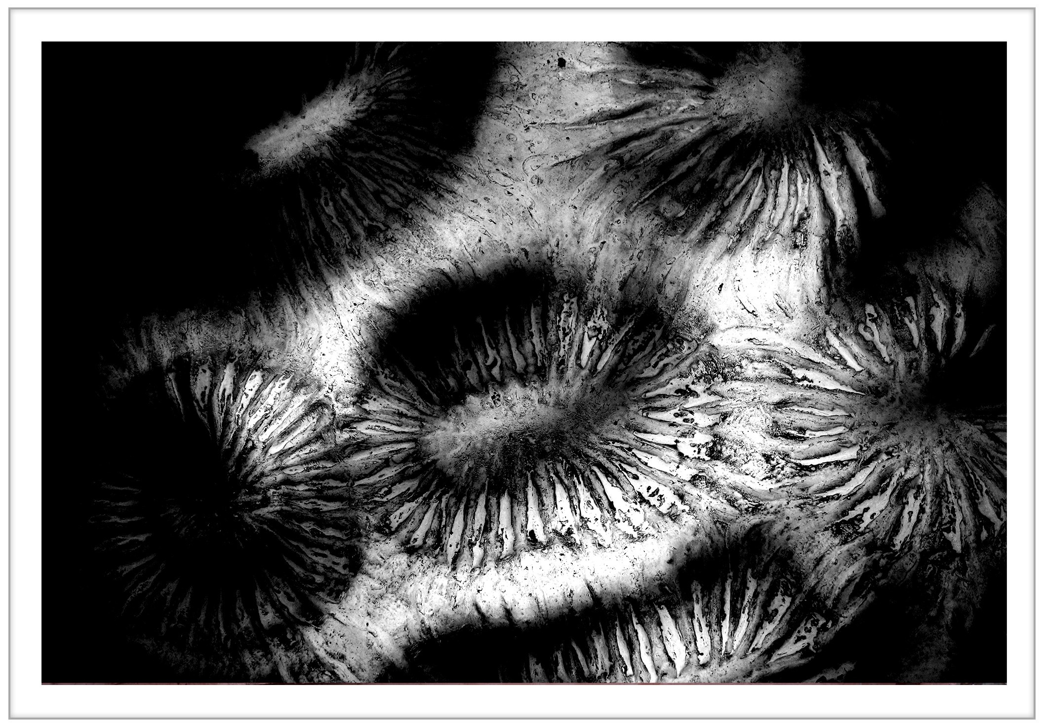 Купить. Наталия Шульгина — визуальный художник, фотограф