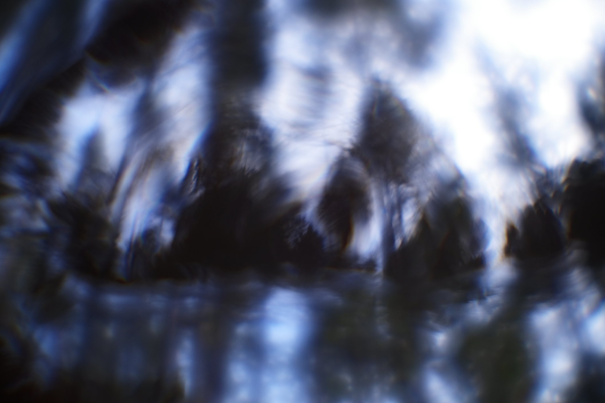 ARTWORKS (ART BEYOND REASON). International visual artist