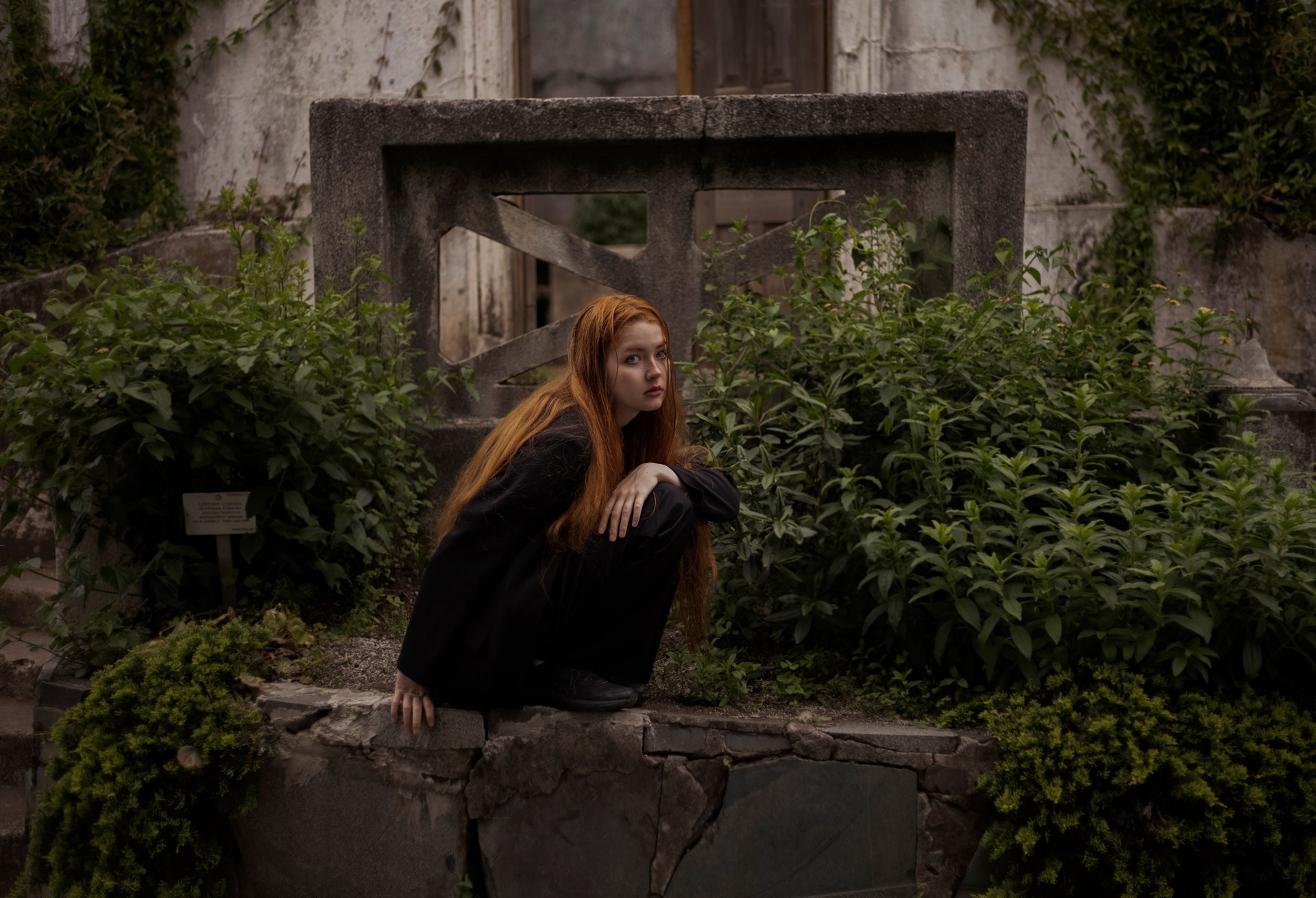Botanical Garden. Art photographer Tatiana Serbina