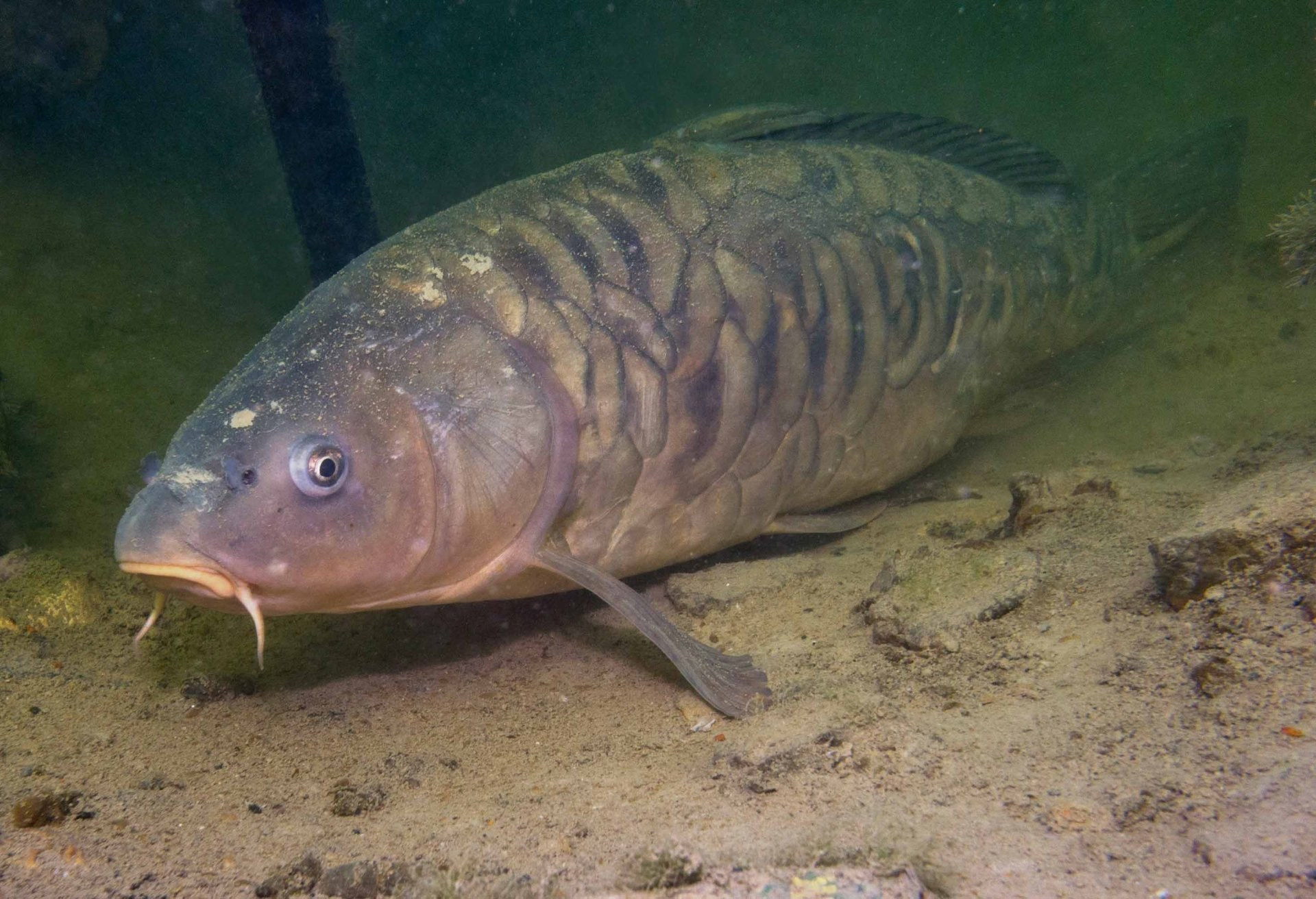 Подготовка к сезону рыбалки в Шалово-парк идет полным ходом!. Оздоровительный комплекс Шалово-парк Серебряные ключи