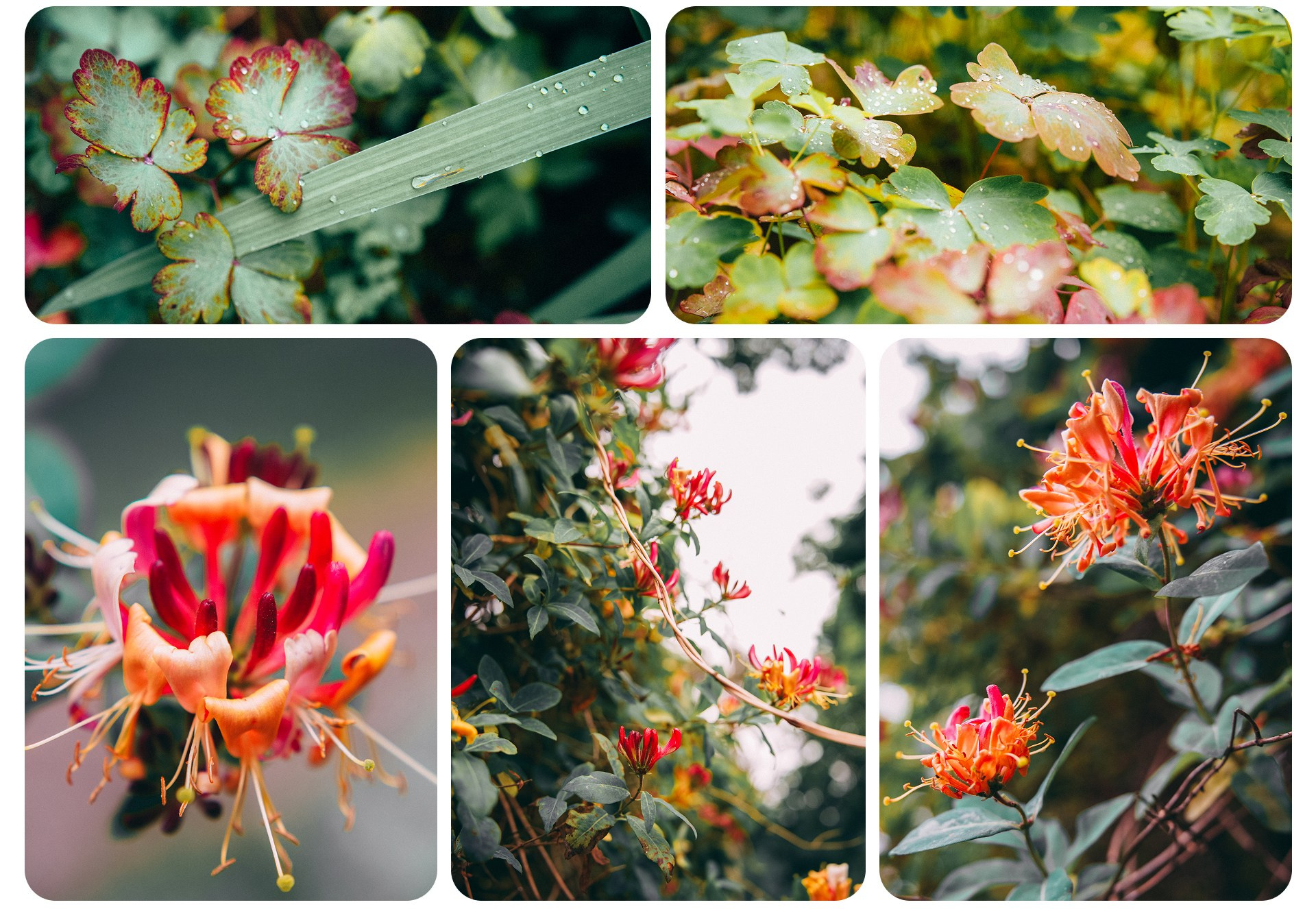 Калининград 3. Фотограф из Москвы — DASHA NOVA | Авторская фотография в разных жанрах