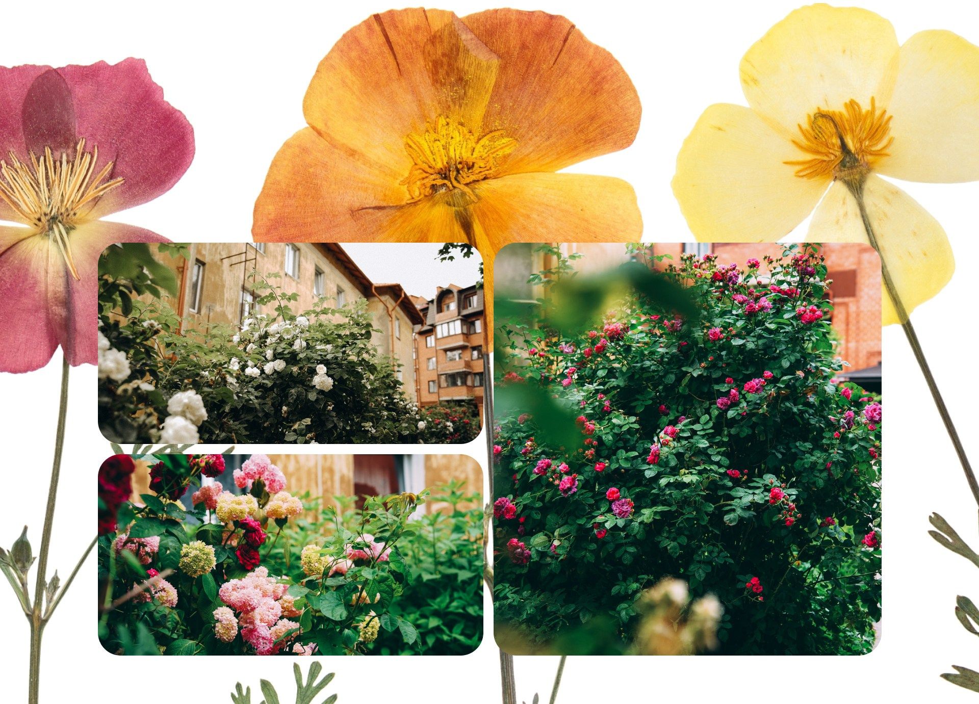 Калининград 1. Фотограф из Москвы — DASHA NOVA | Авторская фотография в разных жанрах