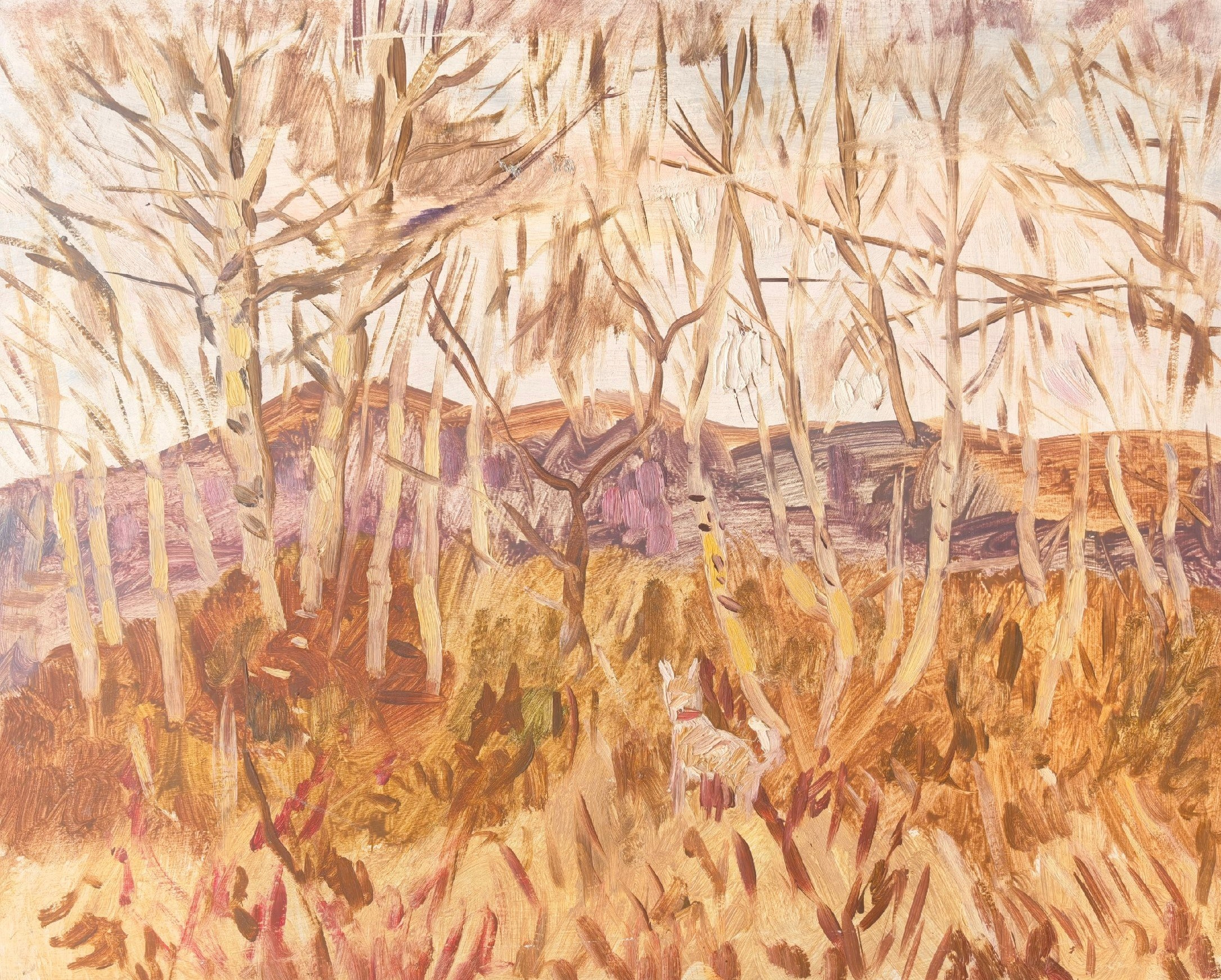 Мировоззрение. Художник и гид по Камчатке Евгений Чайкин