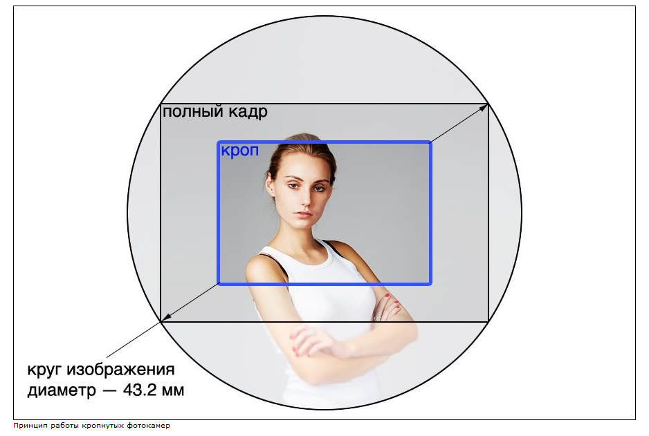 Обзор фотокамер. Фотоцентр Перспектива: выпускные альбомы, фотошкола, курсы фотографии