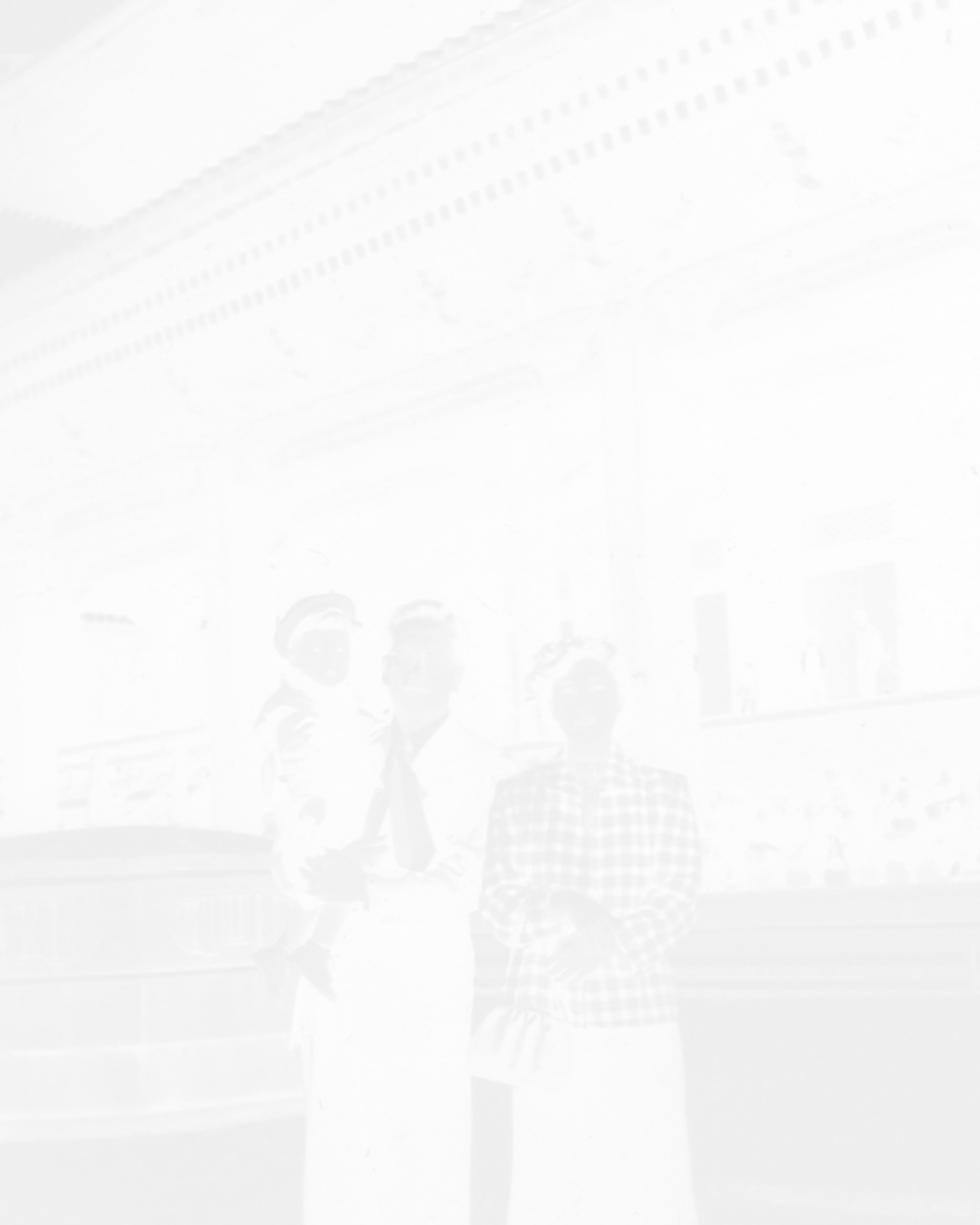 ИНТЕРВЬЮ С АВТОРАМИ: Ёсикацу Фудзии. Самоорганизация Низина