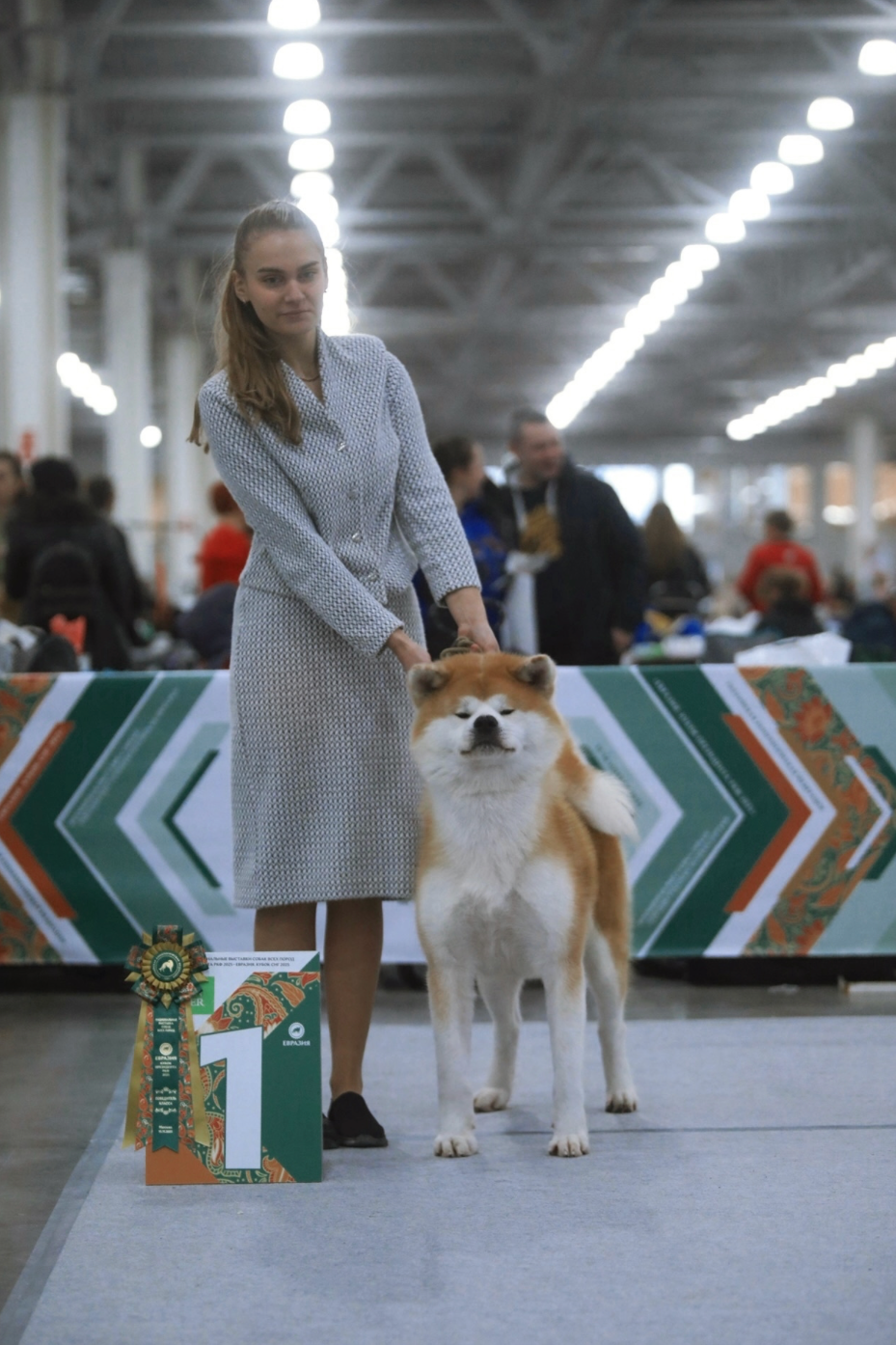 Dog Shows. Kennel Akita inu