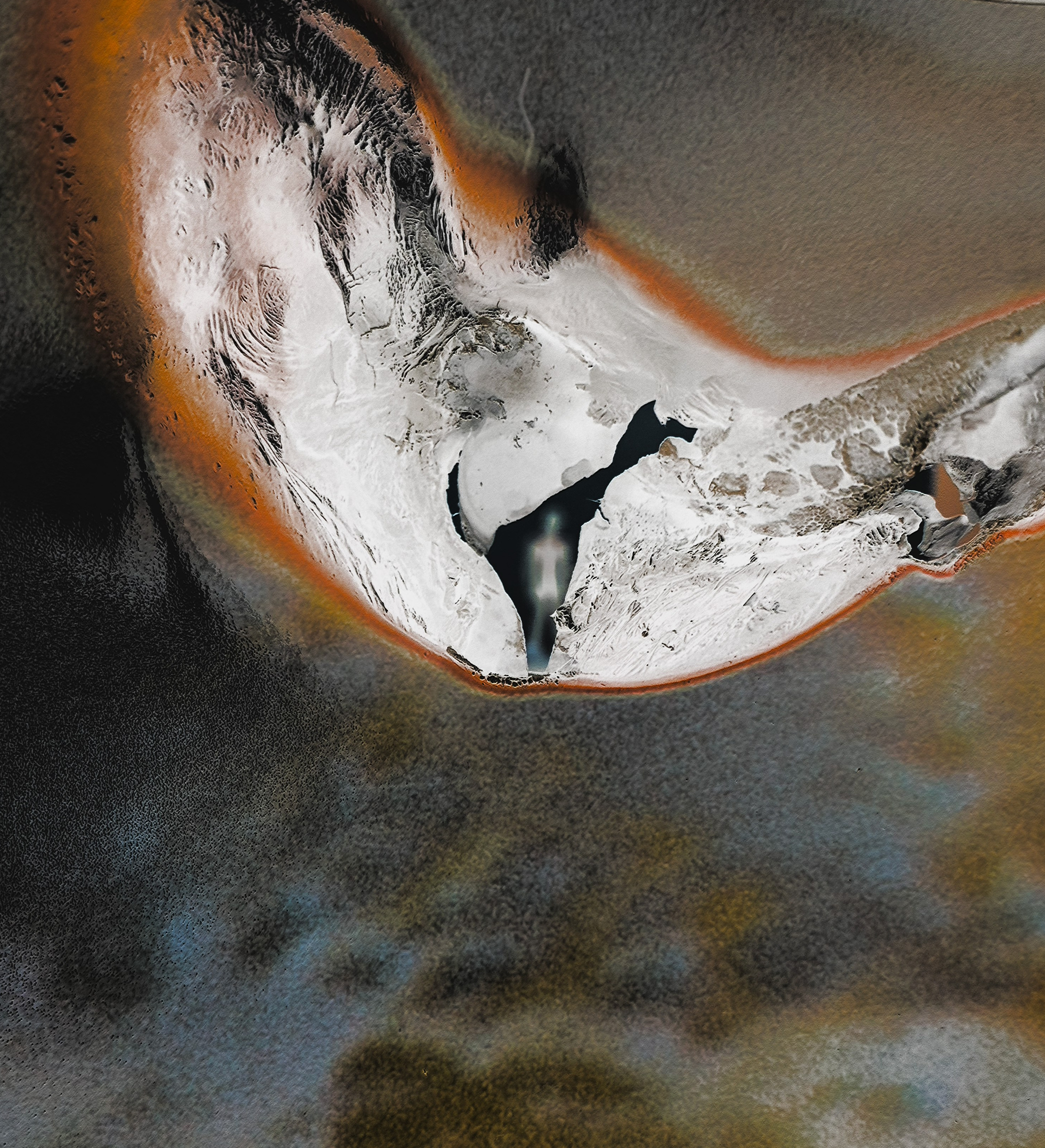 BUY ARTWORKS. Lysi Timofeeva