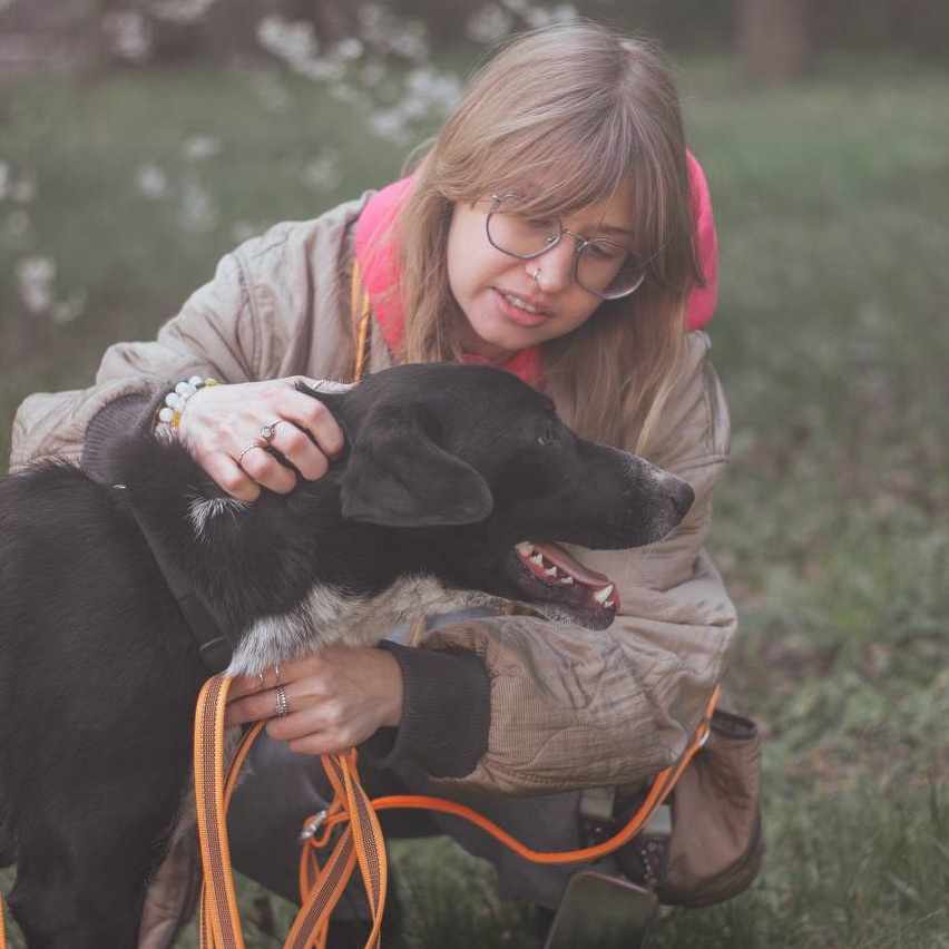 О нас. Забери домой друга