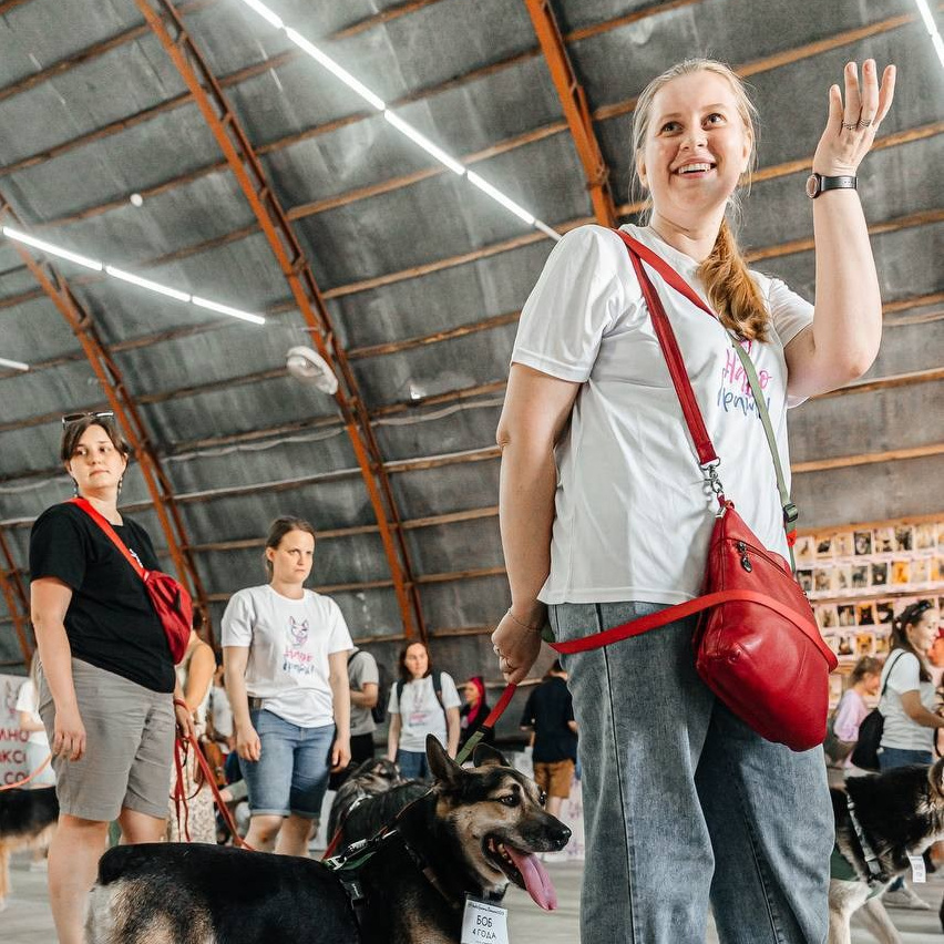 О нас. Забери домой друга