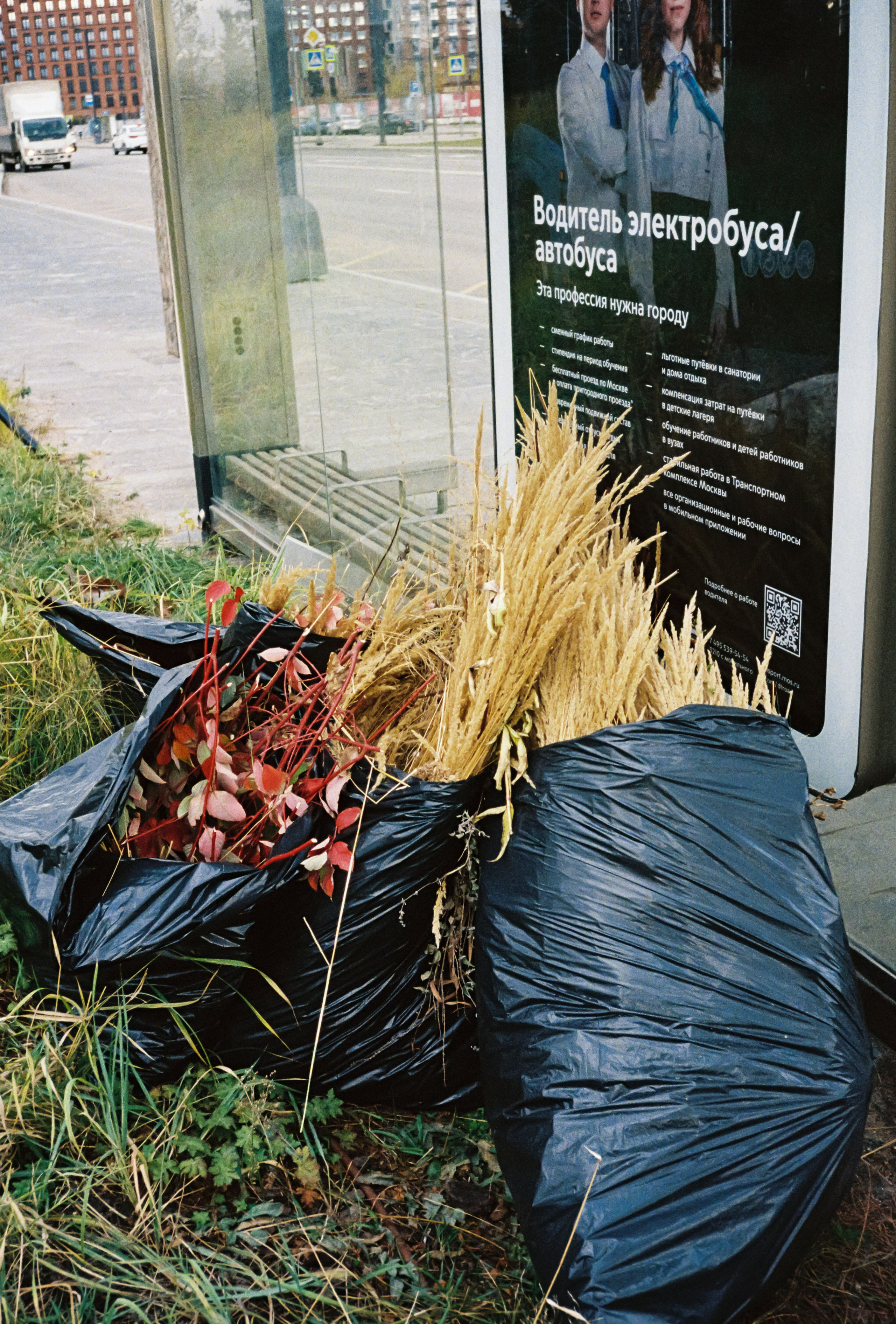 Осенние листья и трава в мусорных мешках рядом с остановкой общественного транспорта
