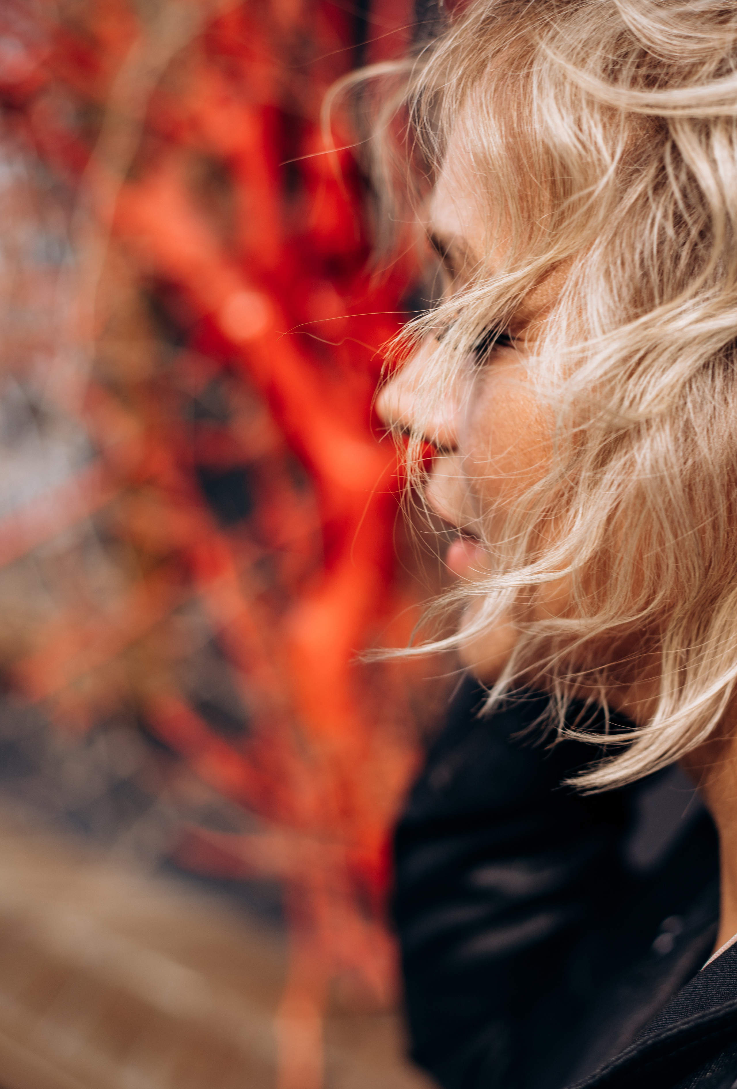 Летний ветерок