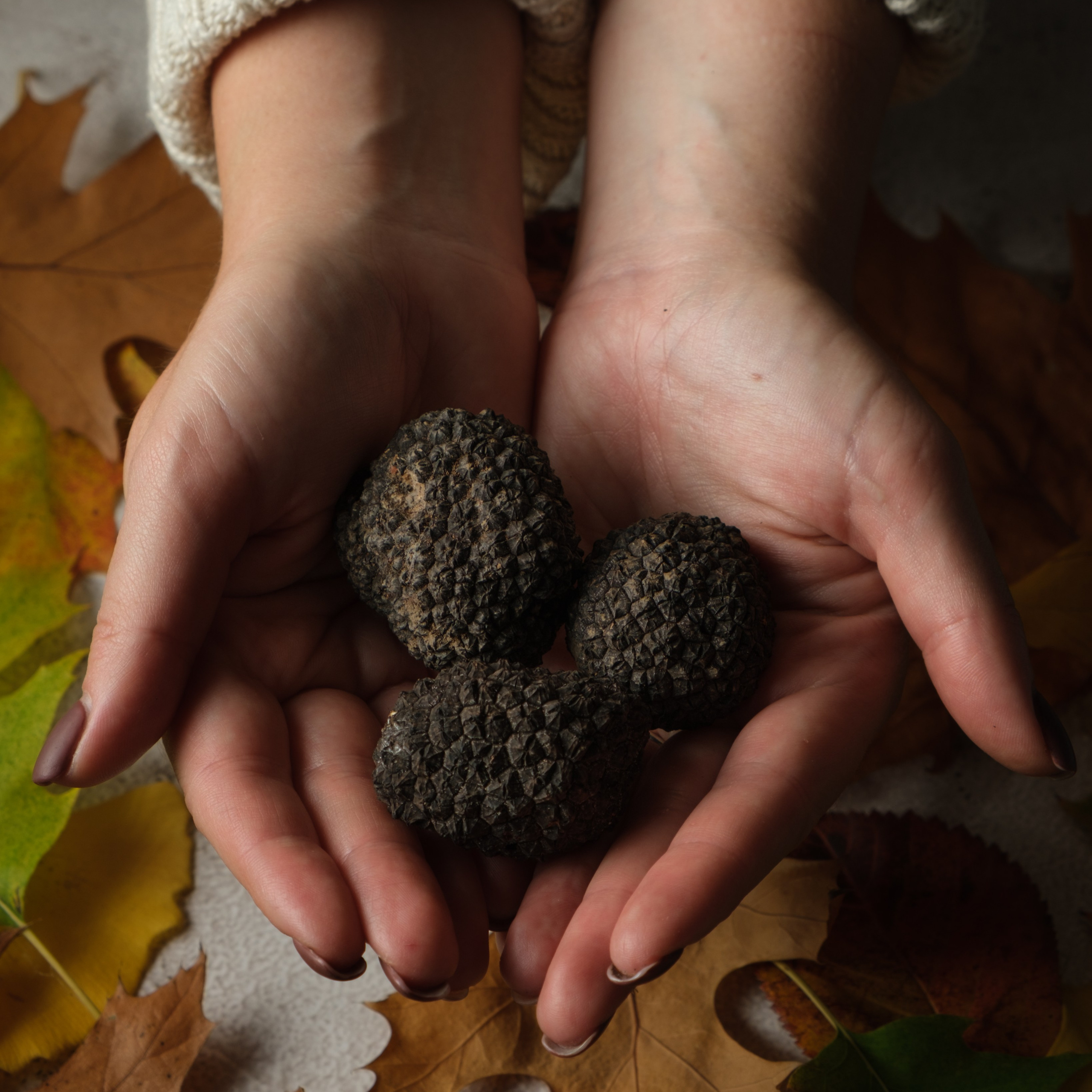Контакты для связи со мной. Предметный фотограф в Ростове-на-Дону Радышев Александр