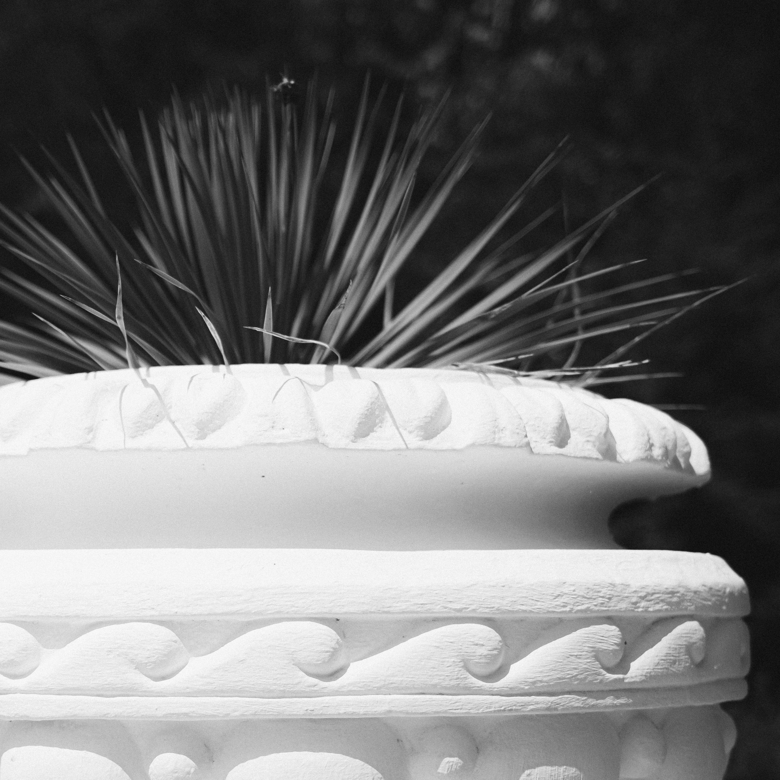 Maxi.studio. СЕРГЕЙ РОСАК | ФОТОГРАФ & ВИДЕОГРАФ • СОЧИ