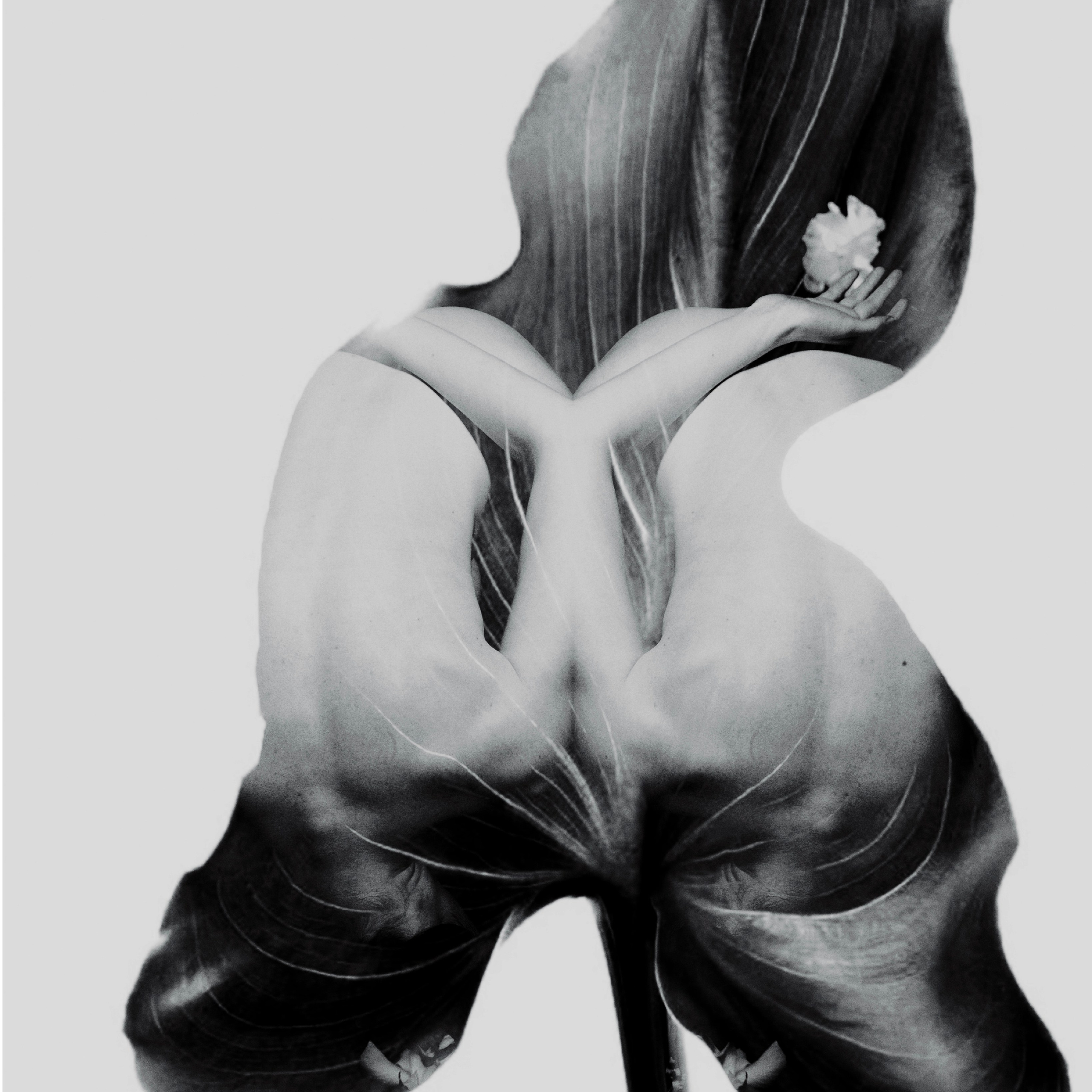 ARTEXPOPHOTO