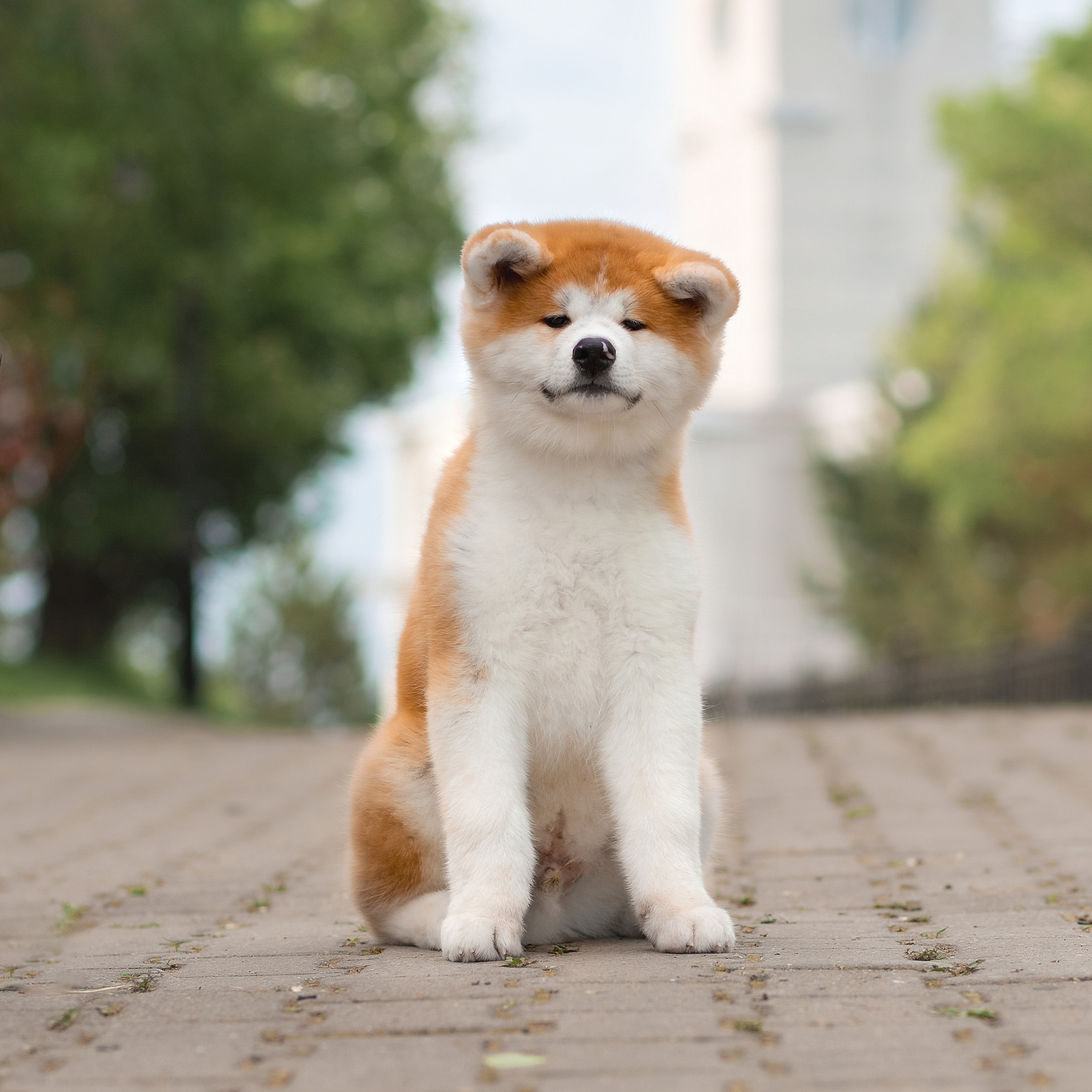 Фотограф в Хабаровске — запись на съёмку. Алена Попова — фотограф в Хабаровске