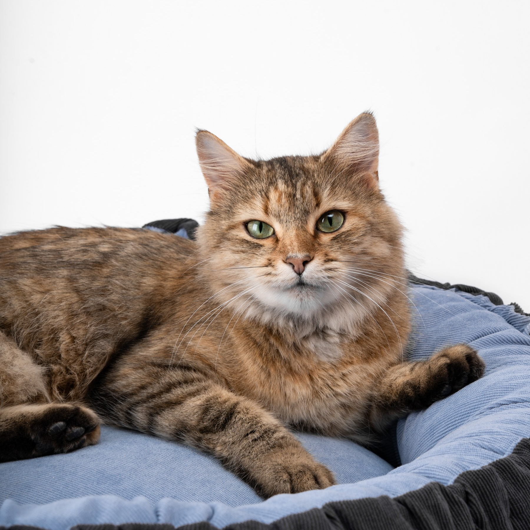 Предметный фотограф Санкт-Петербург