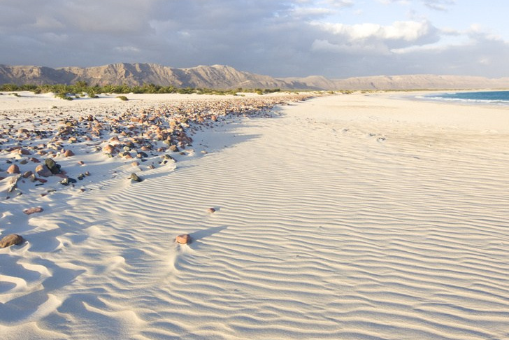 Сокотра!. Путешествуем вместе