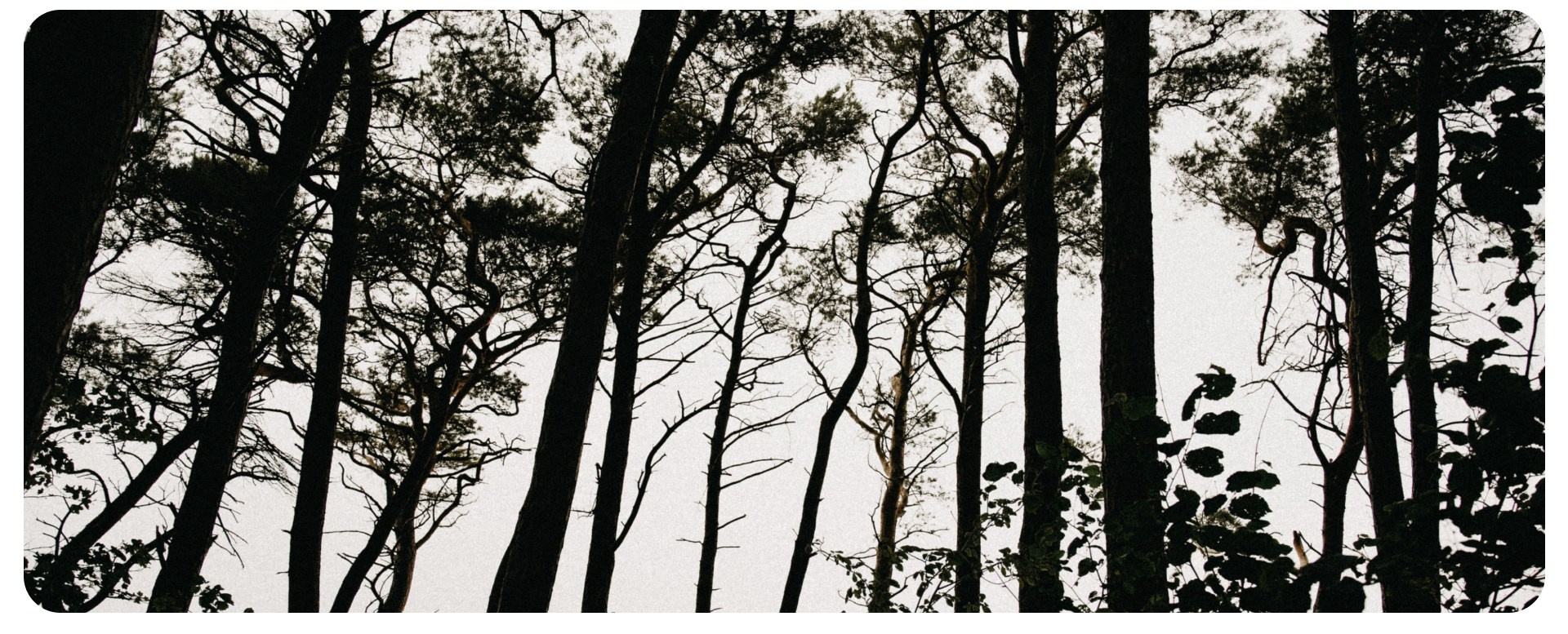 Калининград 1. Фотограф из Москвы — DASHA NOVA | Авторская фотография в разных жанрах