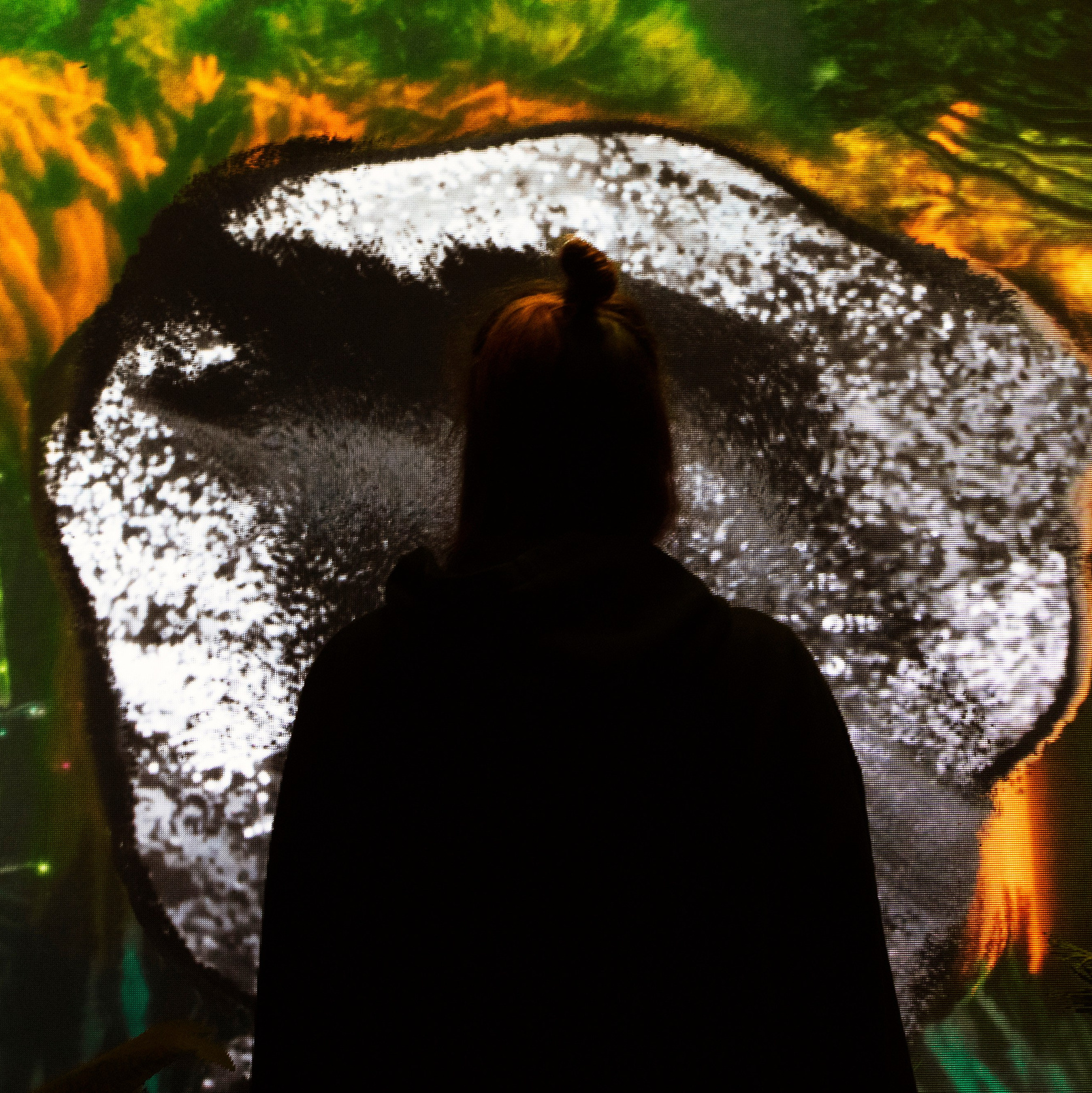 СМИ о нас. OOPS