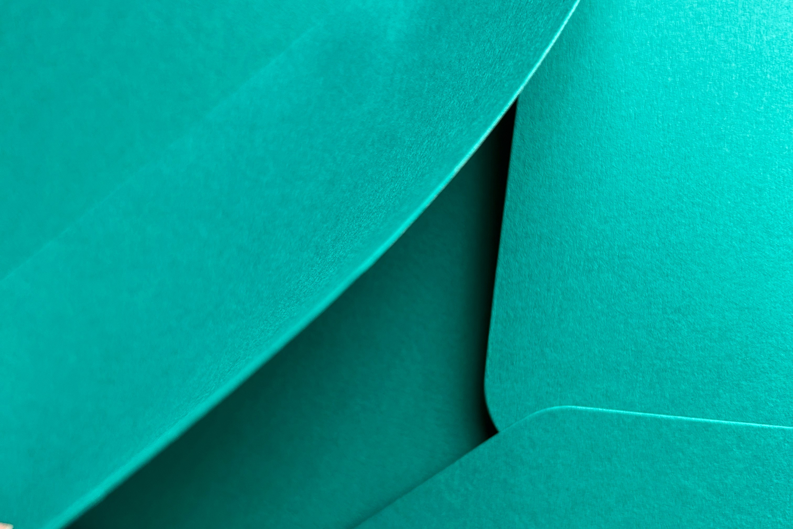 Сертификат. Фотограф в Тамбове Ольга Мельникова