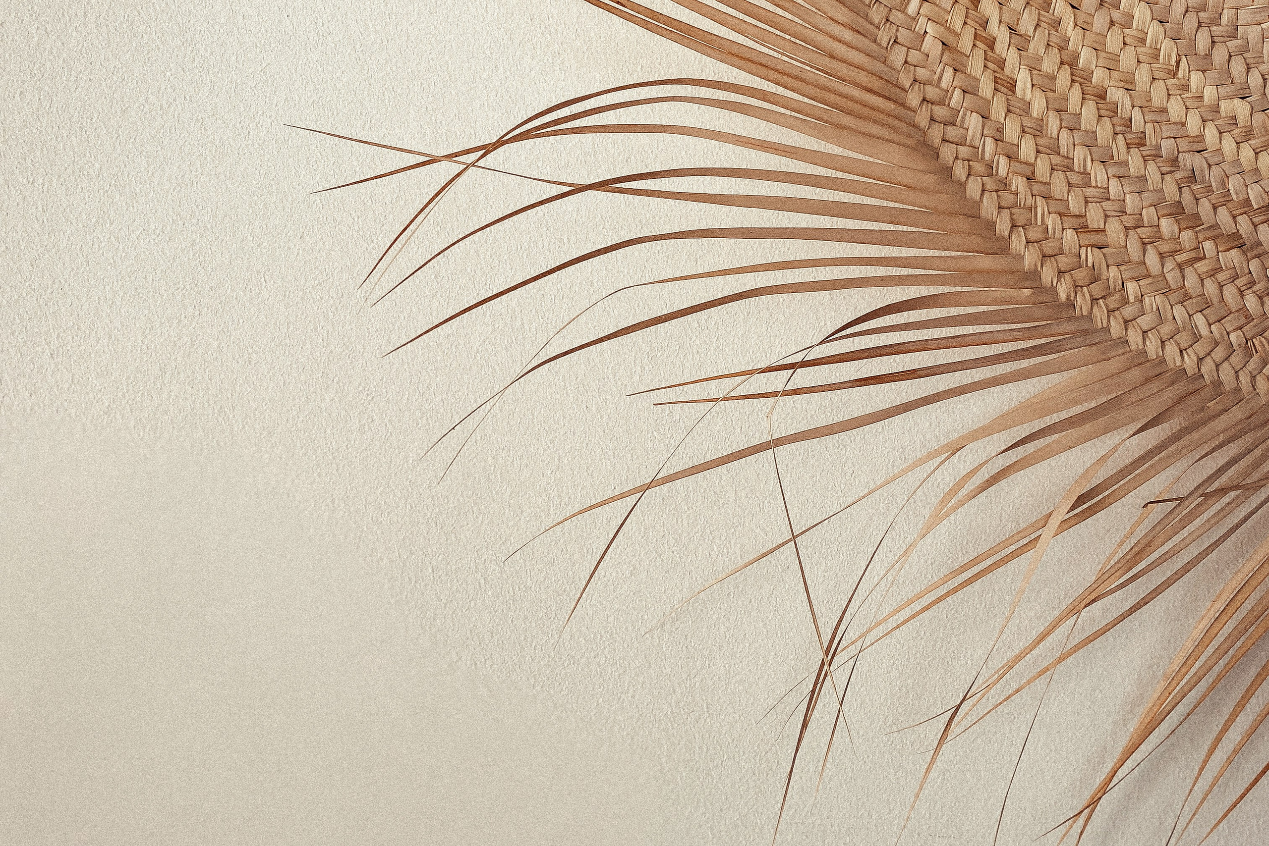 REAL-ESTATE & AIRBNB. Olga Popova — Photographer in Morocco