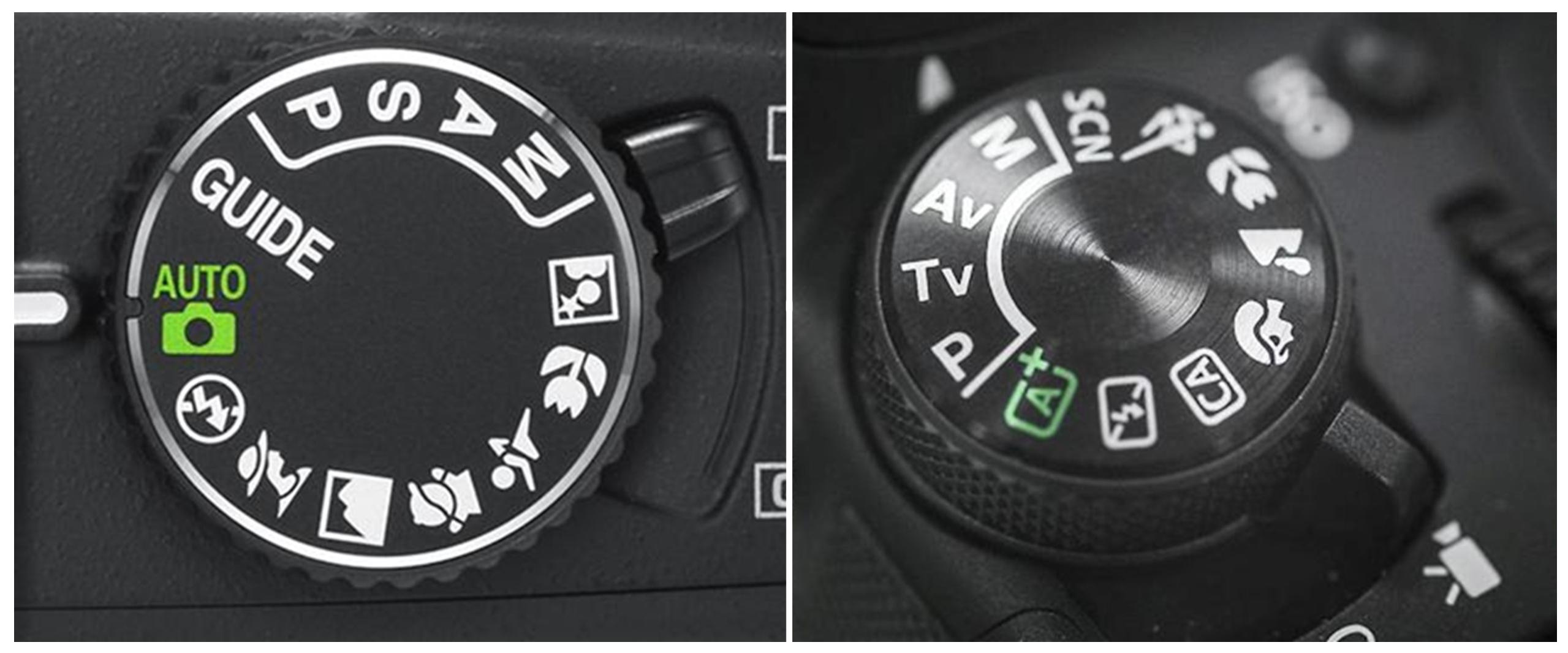 Занятие № 1. FOTOFAQ SKOOL г. Санкт-Петербург: очные, дистанционные и онлайн курсы фотографии