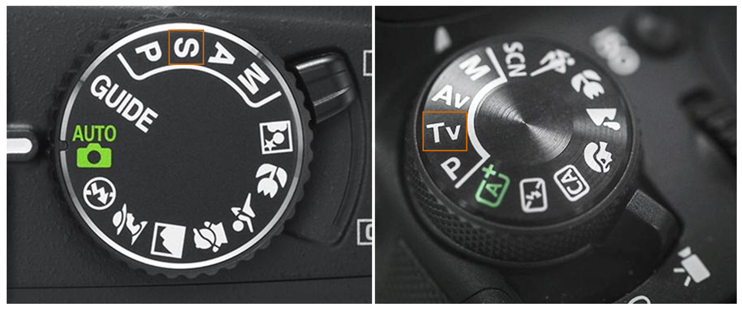 Занятие № 1. FOTOFAQ SKOOL г. Санкт-Петербург: очные, дистанционные и онлайн курсы фотографии