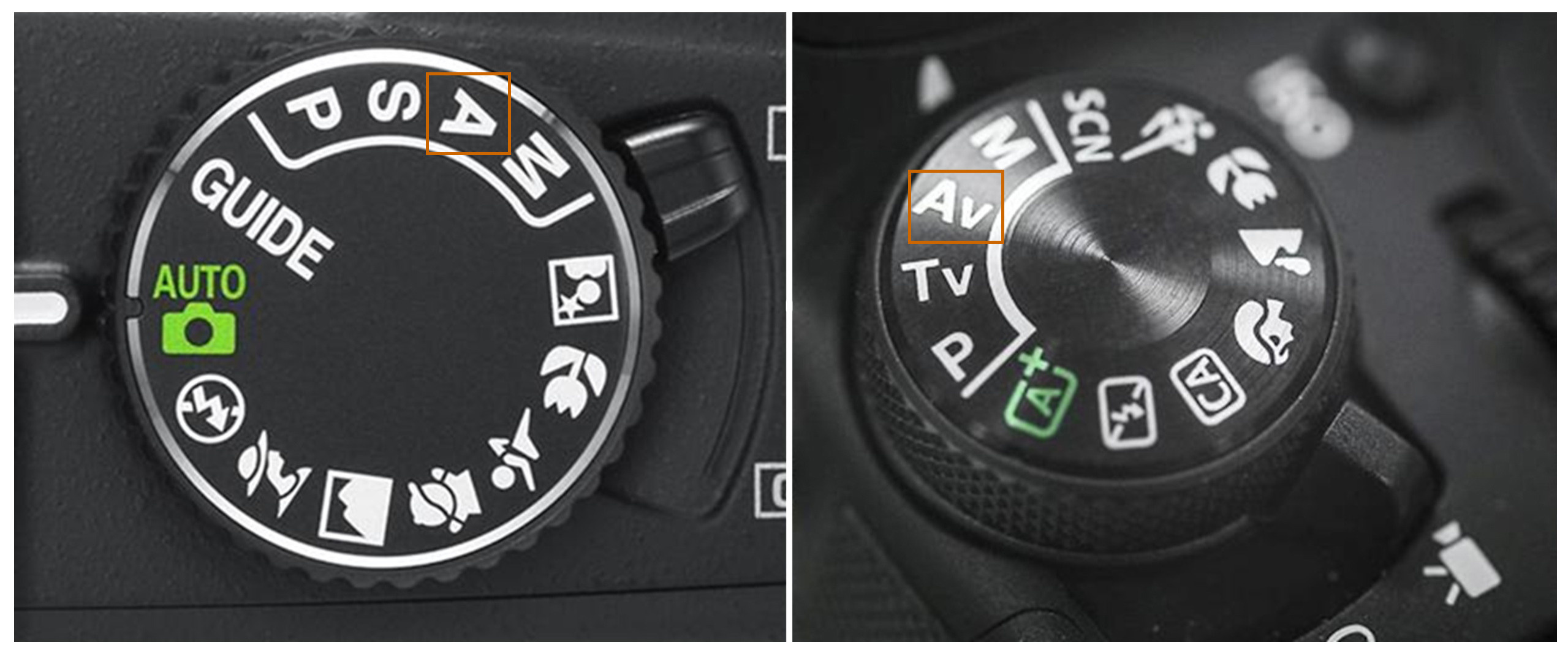 Занятие № 2. FOTOFAQ SKOOL г. Санкт-Петербург: очные, дистанционные и онлайн курсы фотографии