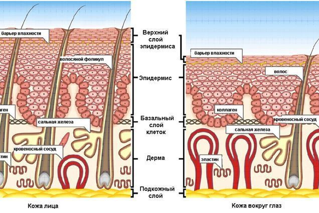 Как ухаживать после перманентного татуажа, часто втречающиеся ошибки. Парикмахер-стилист-колорист Соколова Ольга г. Дзержинск