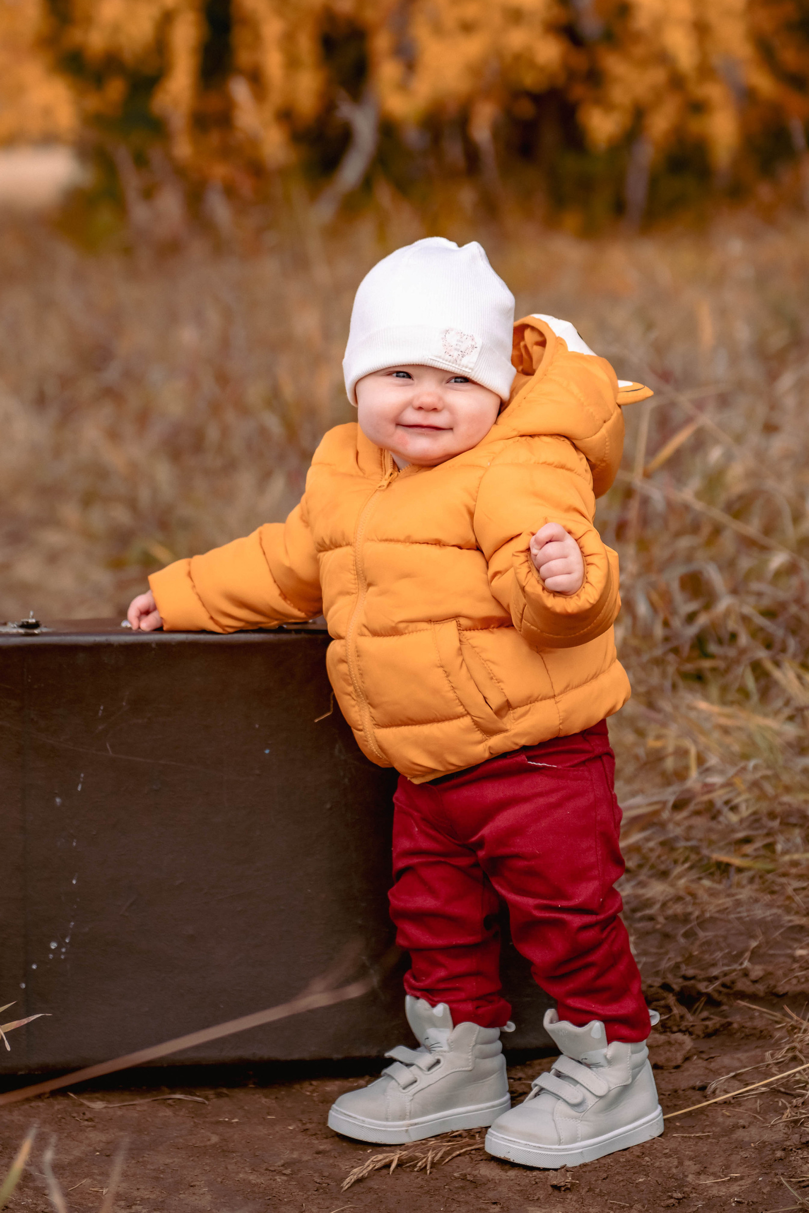 Прайс. Семейный и детский фотограф Татьяна Перевалова