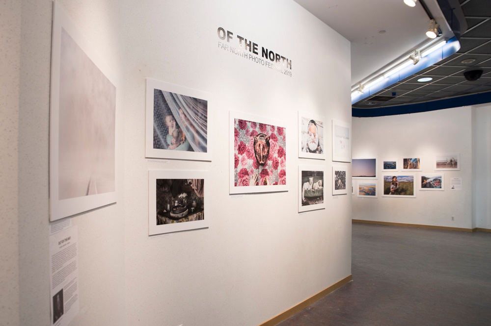 Far North Festival / Yellowknife, Canada. Елена Аносова — художница и исследовательница, куратор и лектор